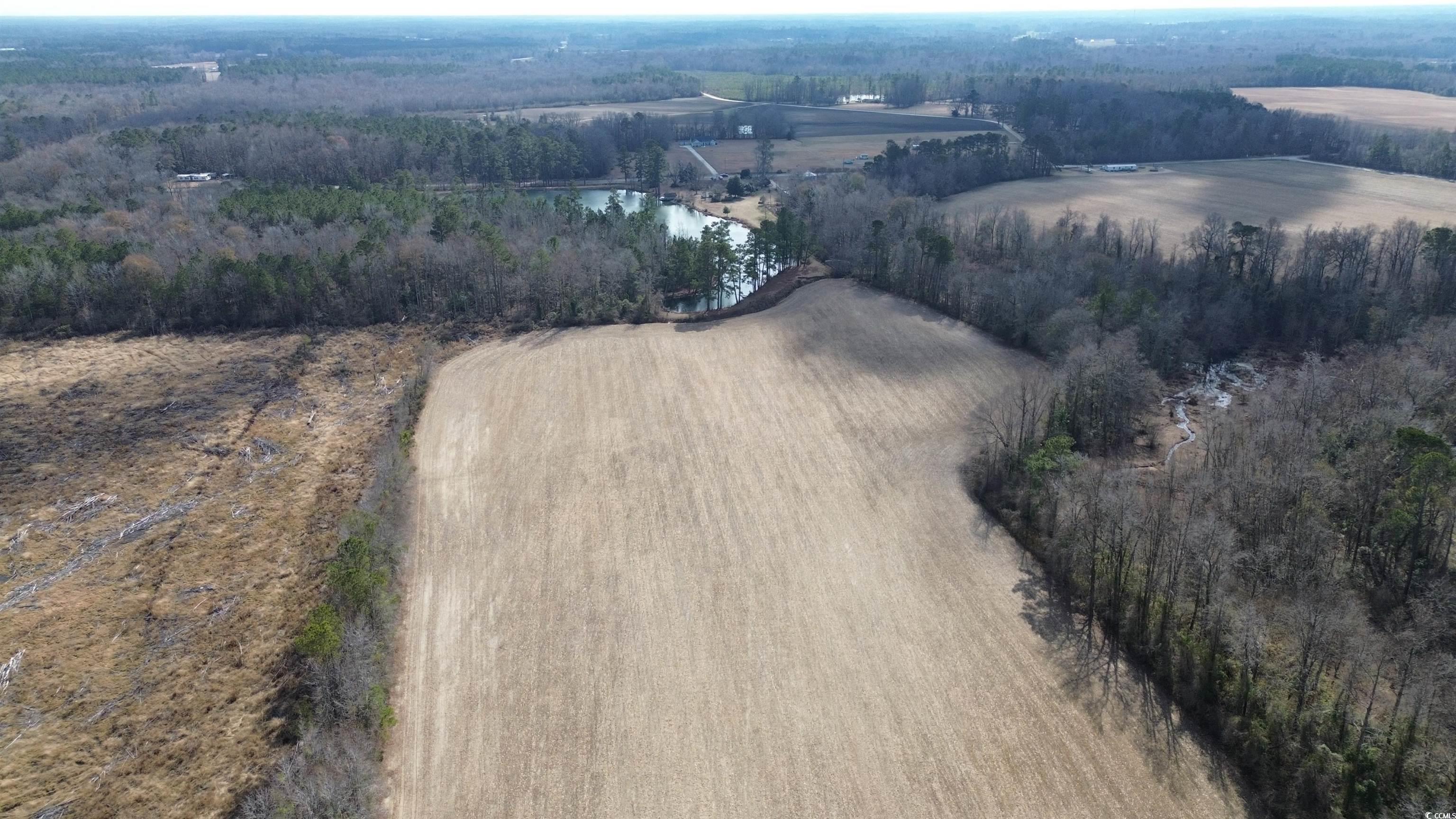 Tbd Green Sea Road Green Sea, SC 29545 - Photo 8 of 9 Bird's eye view featuring a water view and a view of trees