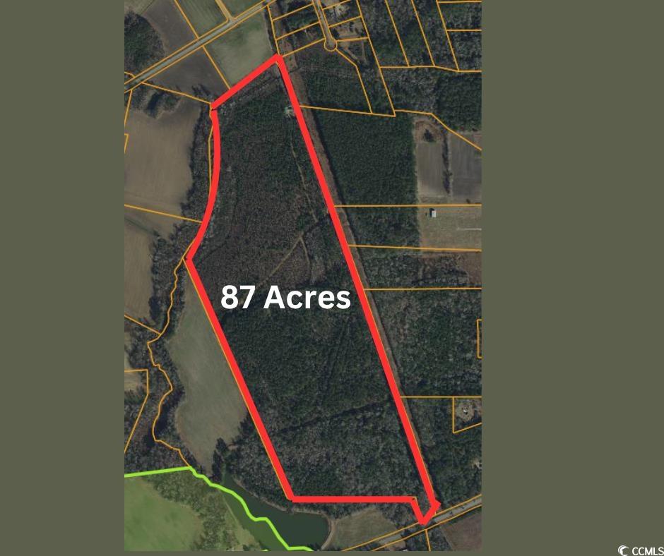 Tbd Green Sea Road Green Sea, SC 29545 - Photo 9 of 9 Aerial overview of property's location