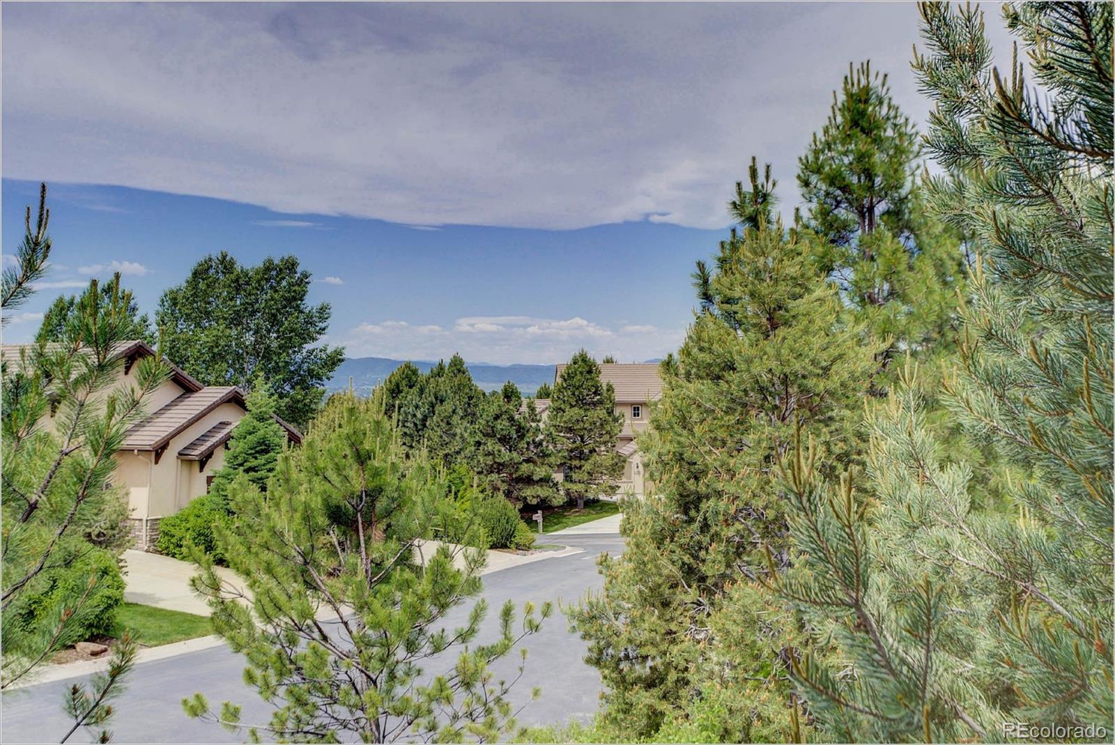 4363 Chateau Ridge Lane Castle Rock, CO 80108 - Photo 32 of 32 a view of a yard with plants
