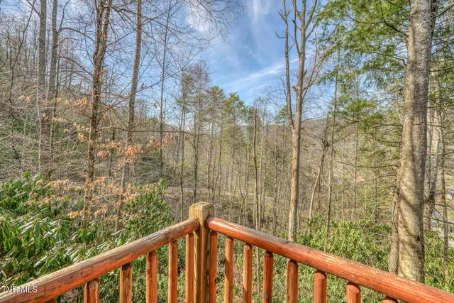 $1,250,000 | 154 Highway 143, Roan Mountain, TN 37687