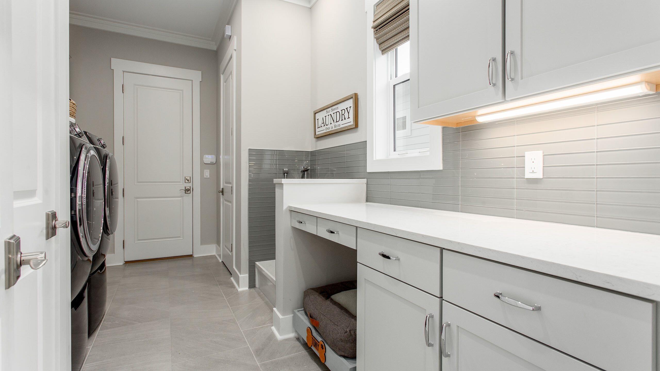 396 Dunns Circle Inlet Beach, FL 32461 - Photo 17 of 26 lrg_venice-laundry-dog