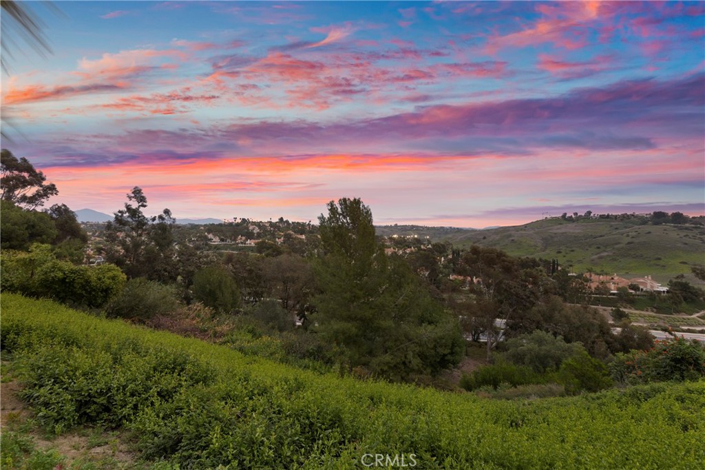 31152 Boca Raton Place Laguna Niguel, CA 92677 - Photo 51 of 67