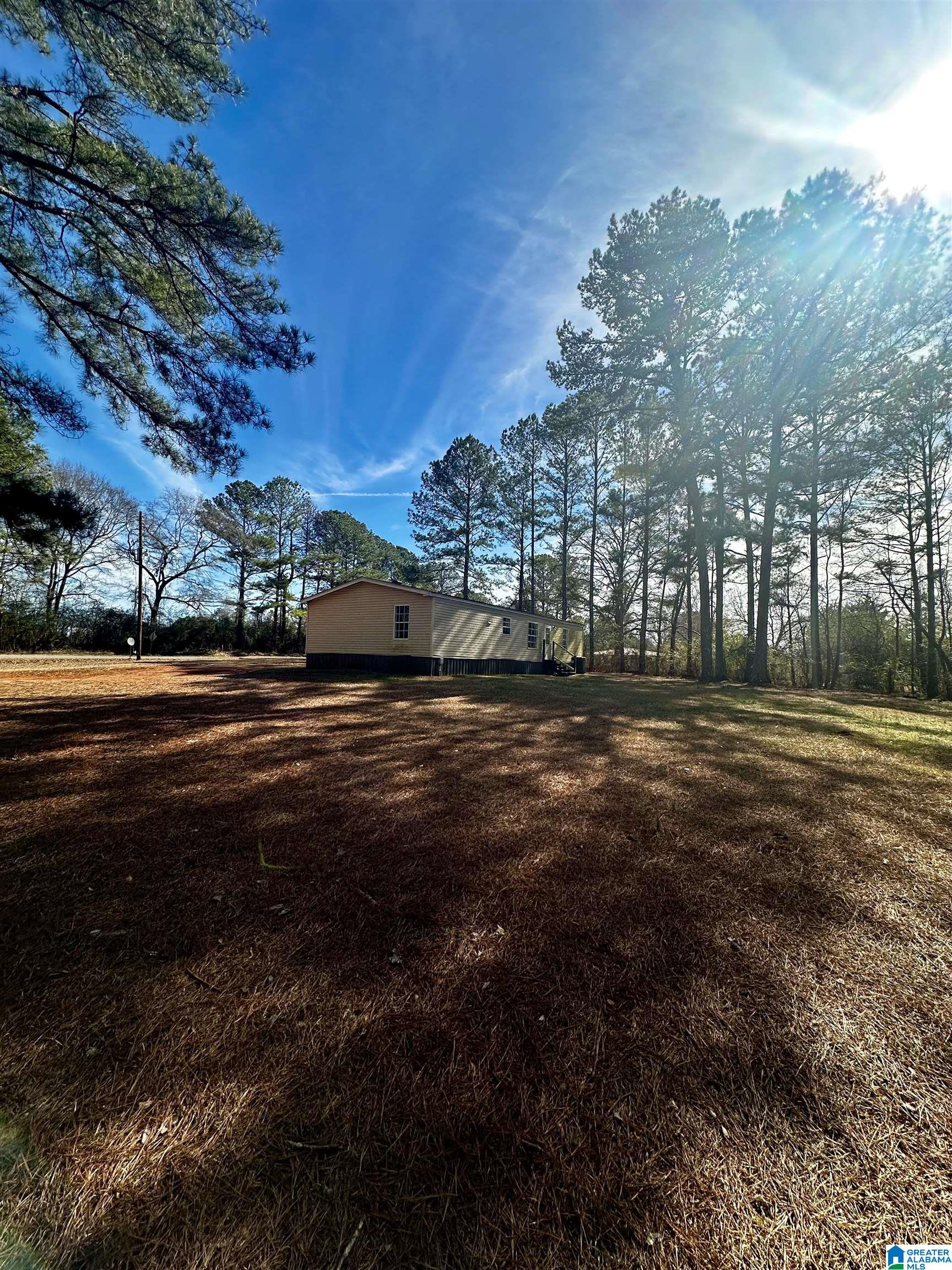 1127 Banks Road Roanoke, AL 36274 - Photo 5 of 34