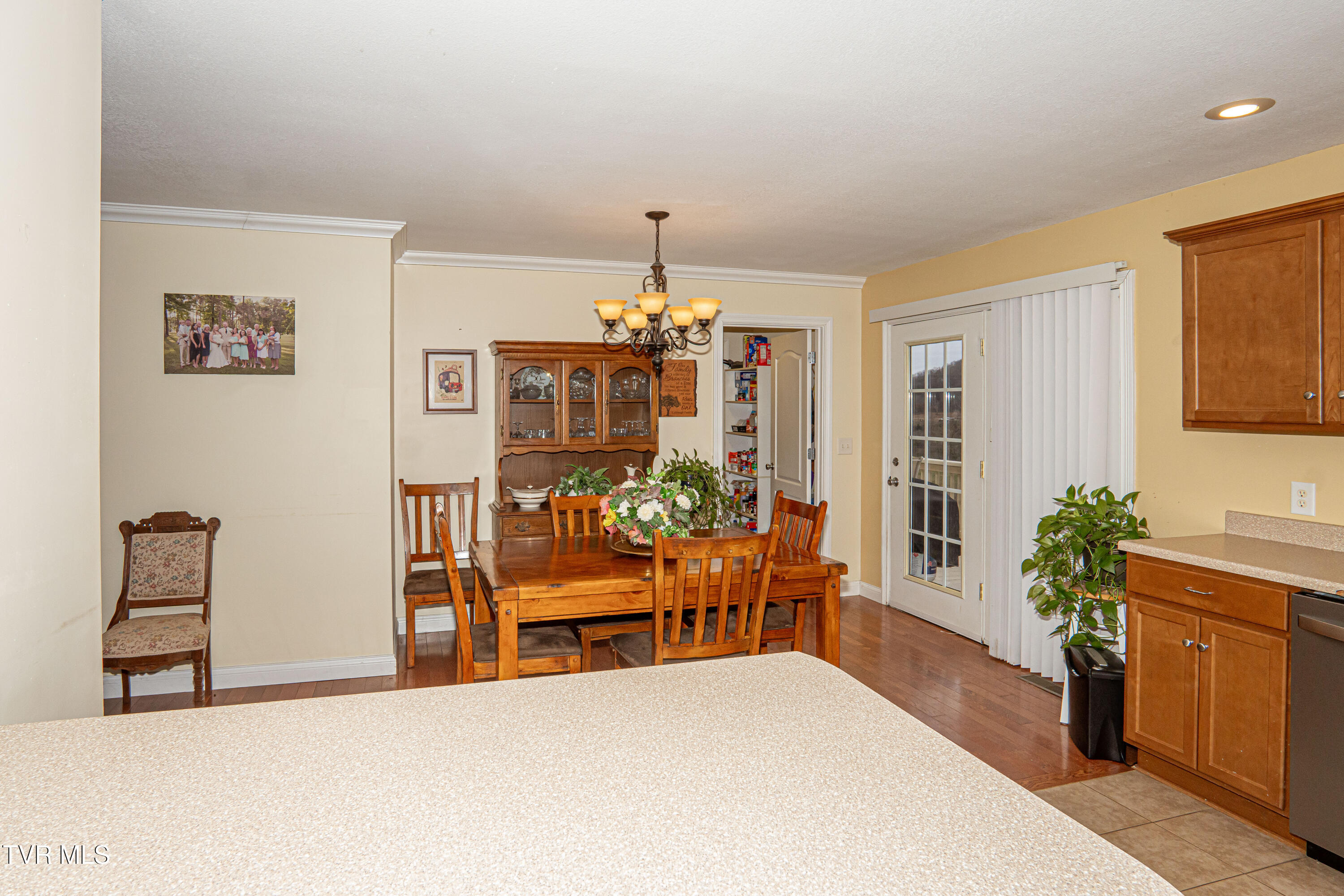 381 East Ridges Drive Chuckey, TN 37641 - Photo 19 of 50 DanielleRickerPhotography-09703