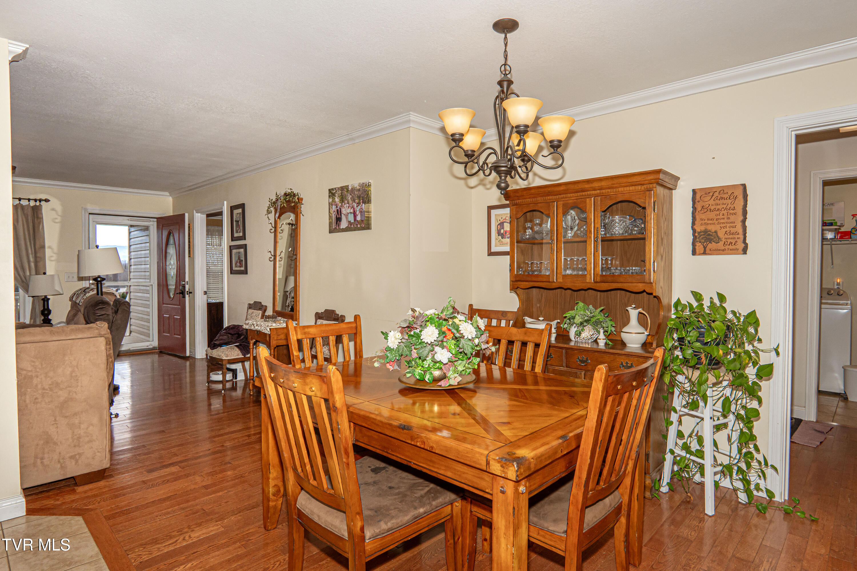 381 East Ridges Drive Chuckey, TN 37641 - Photo 20 of 50 DanielleRickerPhotography-09704