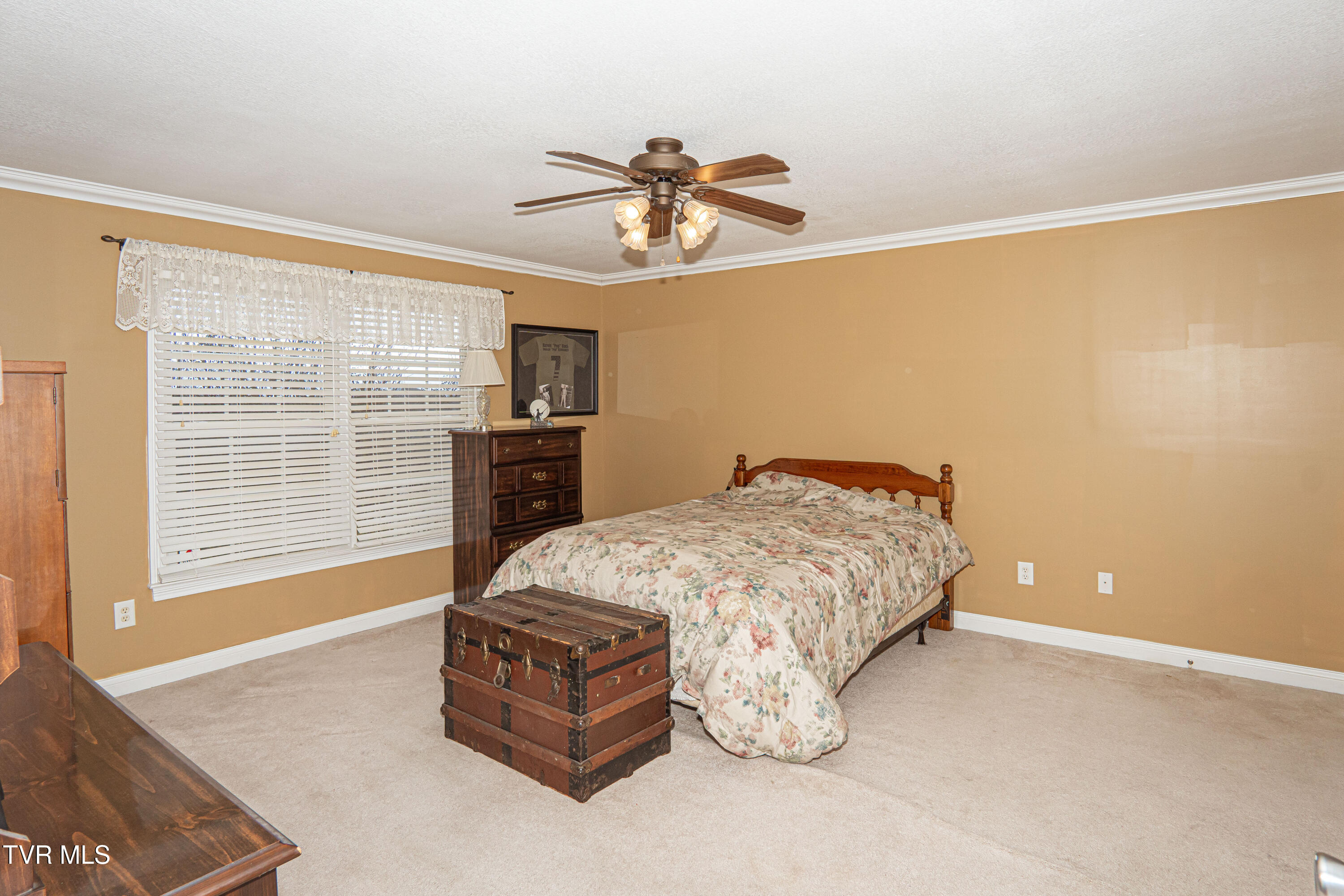 381 East Ridges Drive Chuckey, TN 37641 - Photo 23 of 50 DanielleRickerPhotography-09710