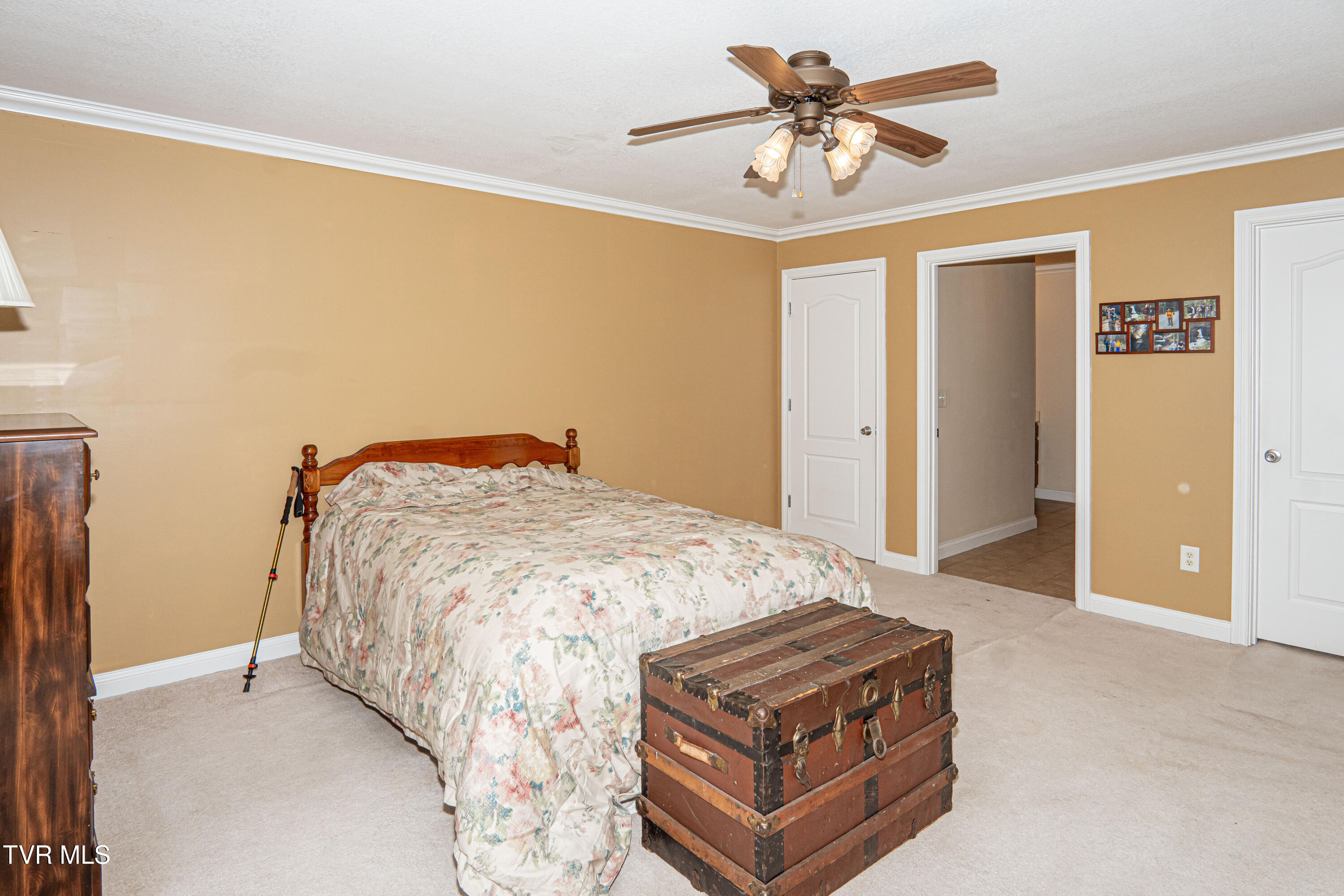 381 East Ridges Drive Chuckey, TN 37641 - Photo 24 of 50 DanielleRickerPhotography-09711