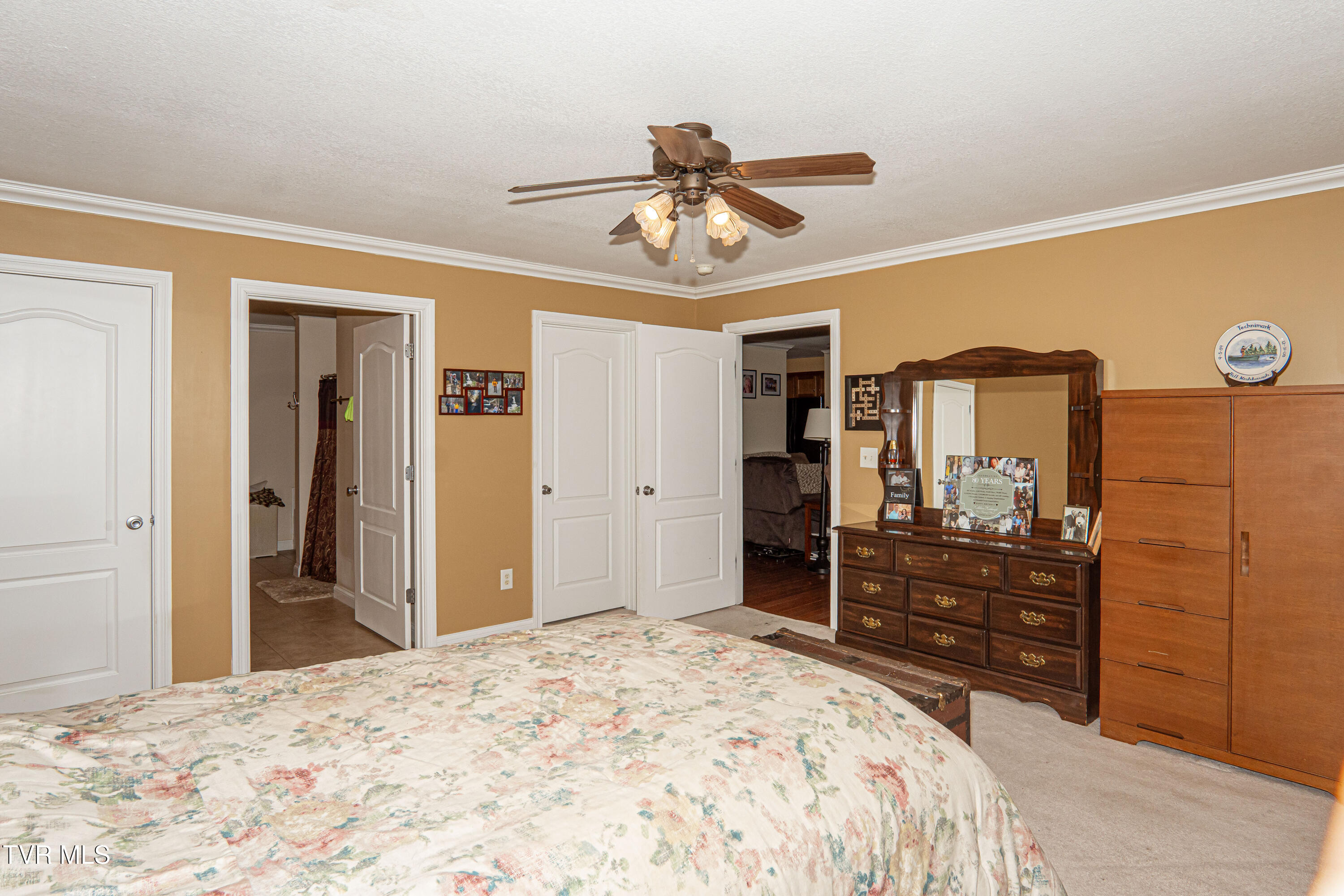 381 East Ridges Drive Chuckey, TN 37641 - Photo 25 of 50 DanielleRickerPhotography-09712