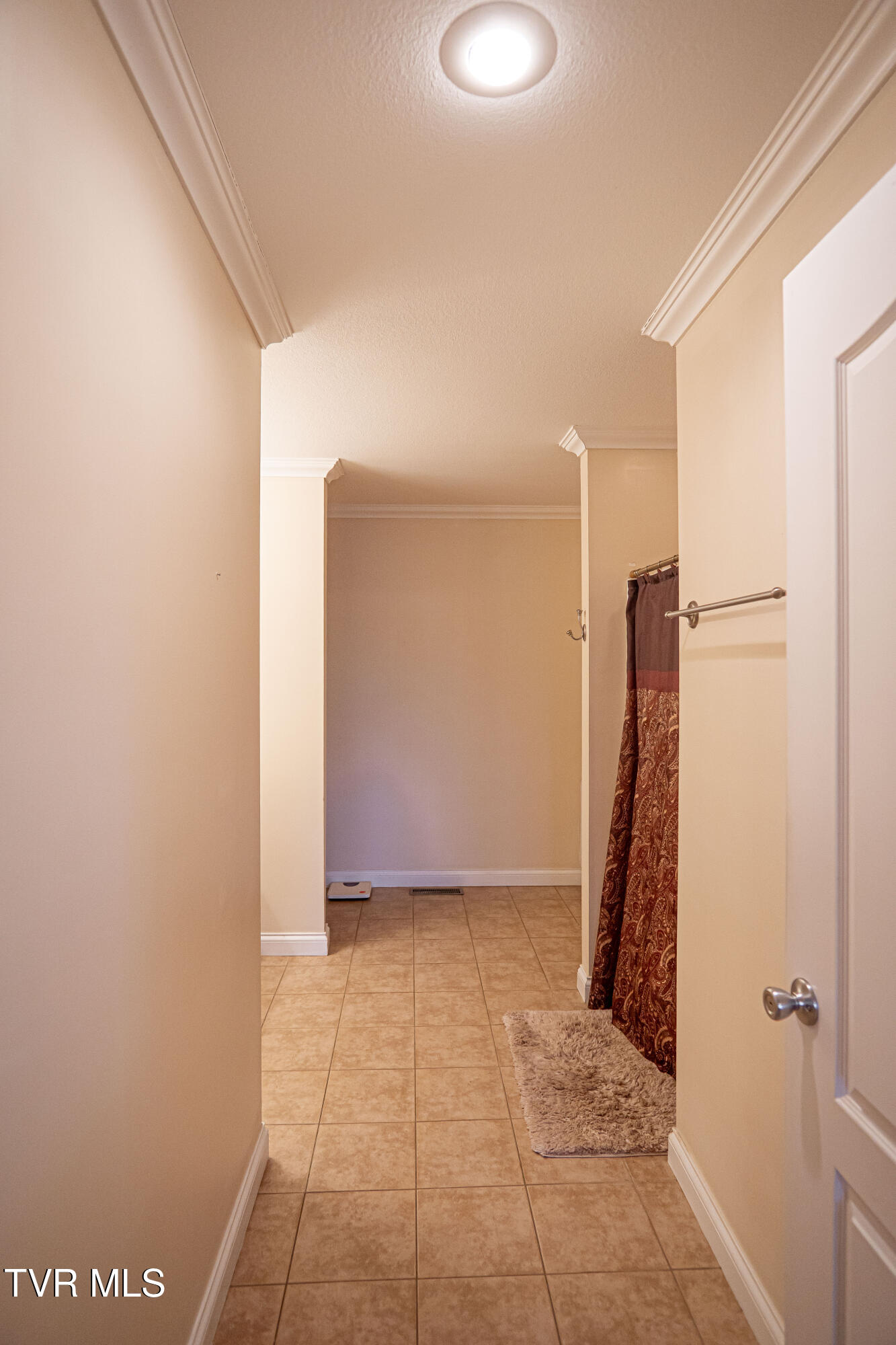 381 East Ridges Drive Chuckey, TN 37641 - Photo 26 of 50 DanielleRickerPhotography-09713