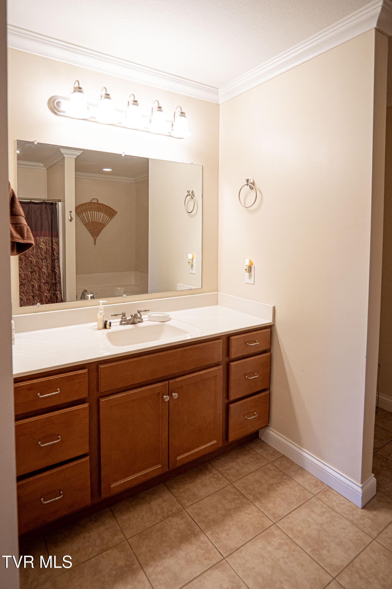 381 East Ridges Drive Chuckey, TN 37641 - Photo 27 of 50 DanielleRickerPhotography-09714