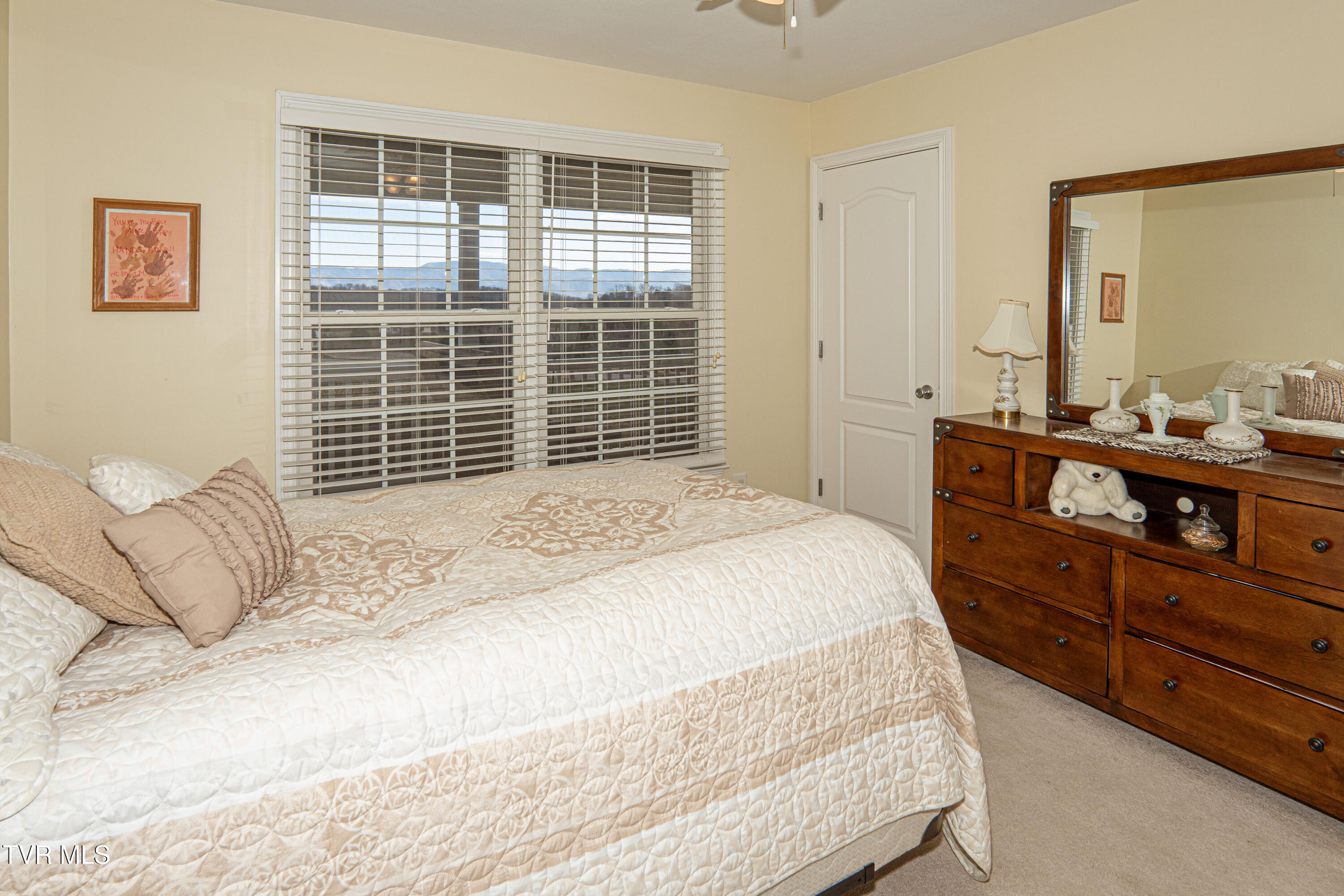 381 East Ridges Drive Chuckey, TN 37641 - Photo 33 of 50 DanielleRickerPhotography-09725