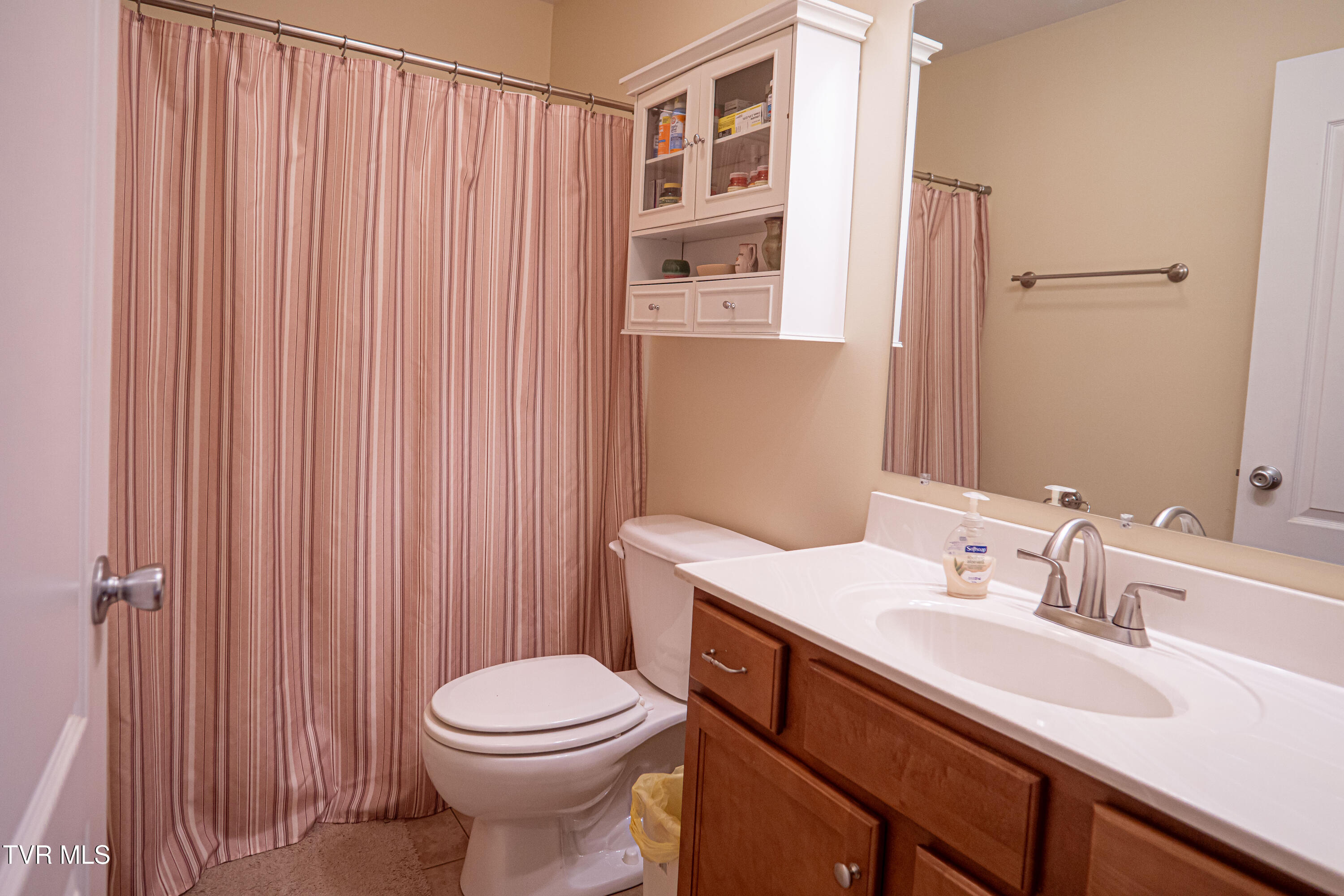 381 East Ridges Drive Chuckey, TN 37641 - Photo 35 of 50 DanielleRickerPhotography-09721