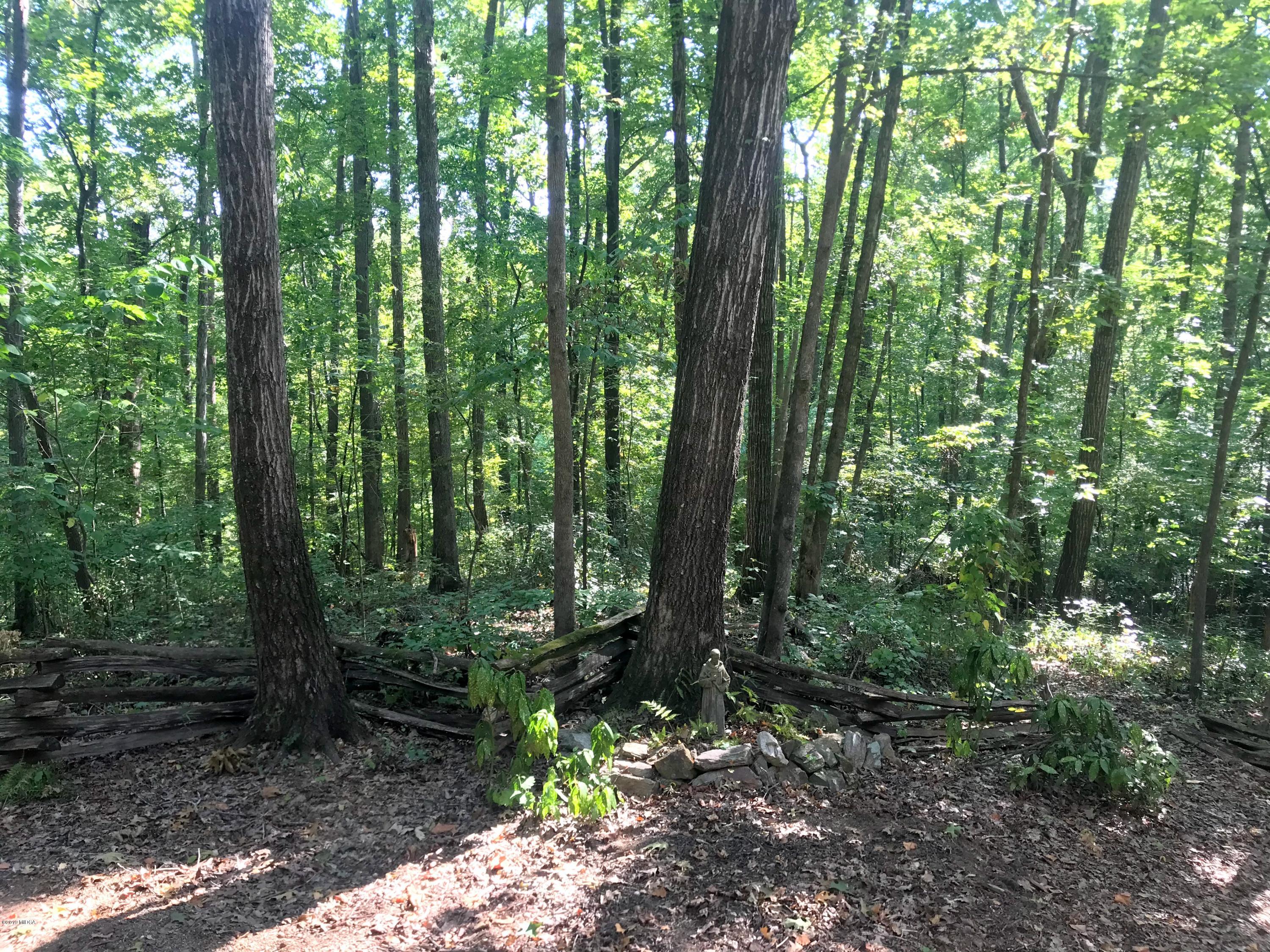 743 Kings Mountain Road Macon, GA 31210 - Photo 25 of 31 IMG_4143