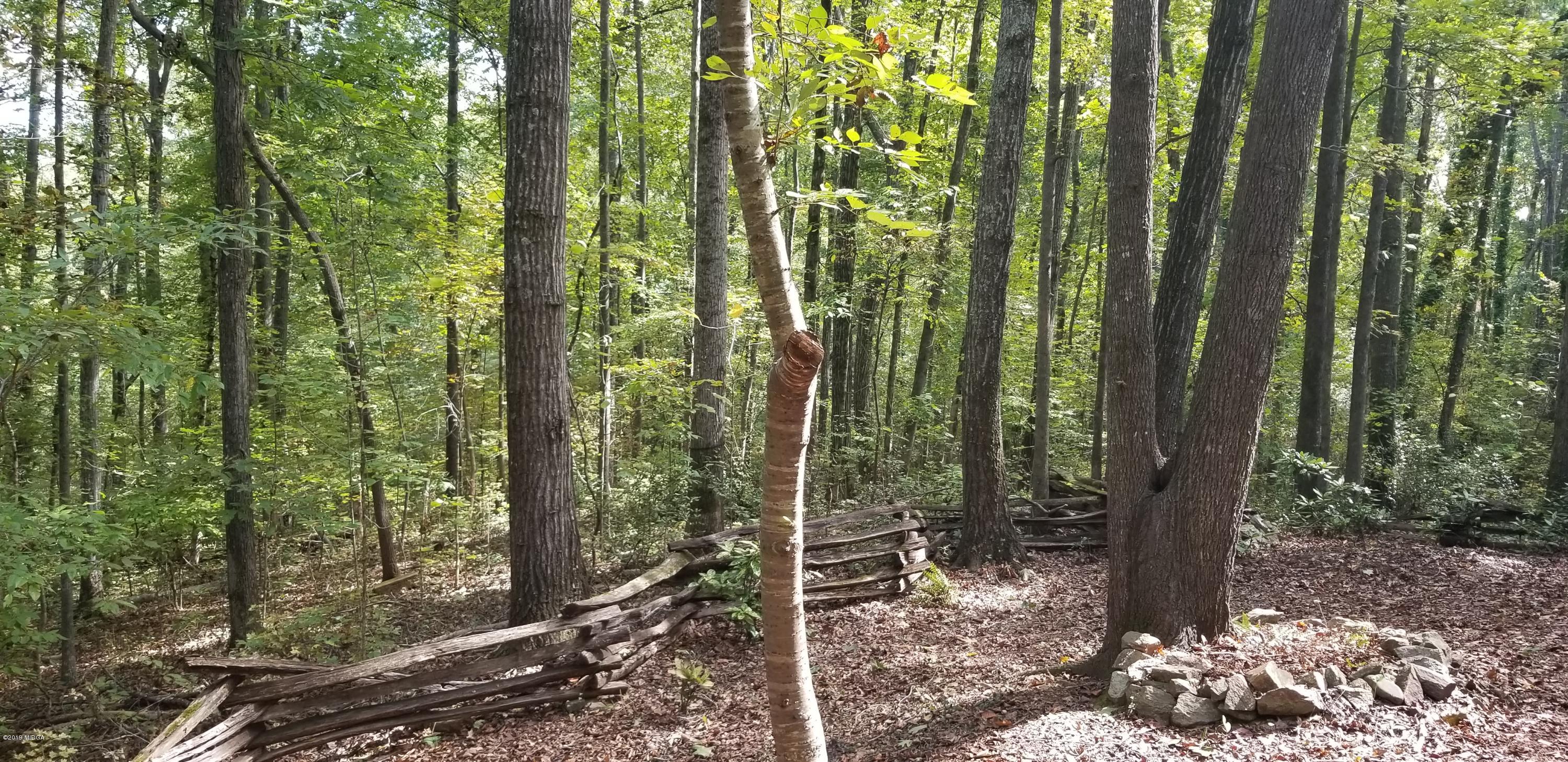 743 Kings Mountain Road Macon, GA 31210 - Photo 30 of 31 20191024_124904
