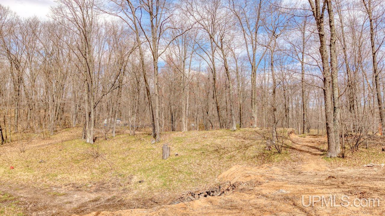 W9565 Pike Plains Road Dunbar, WI 54119 - Photo 33 of 36