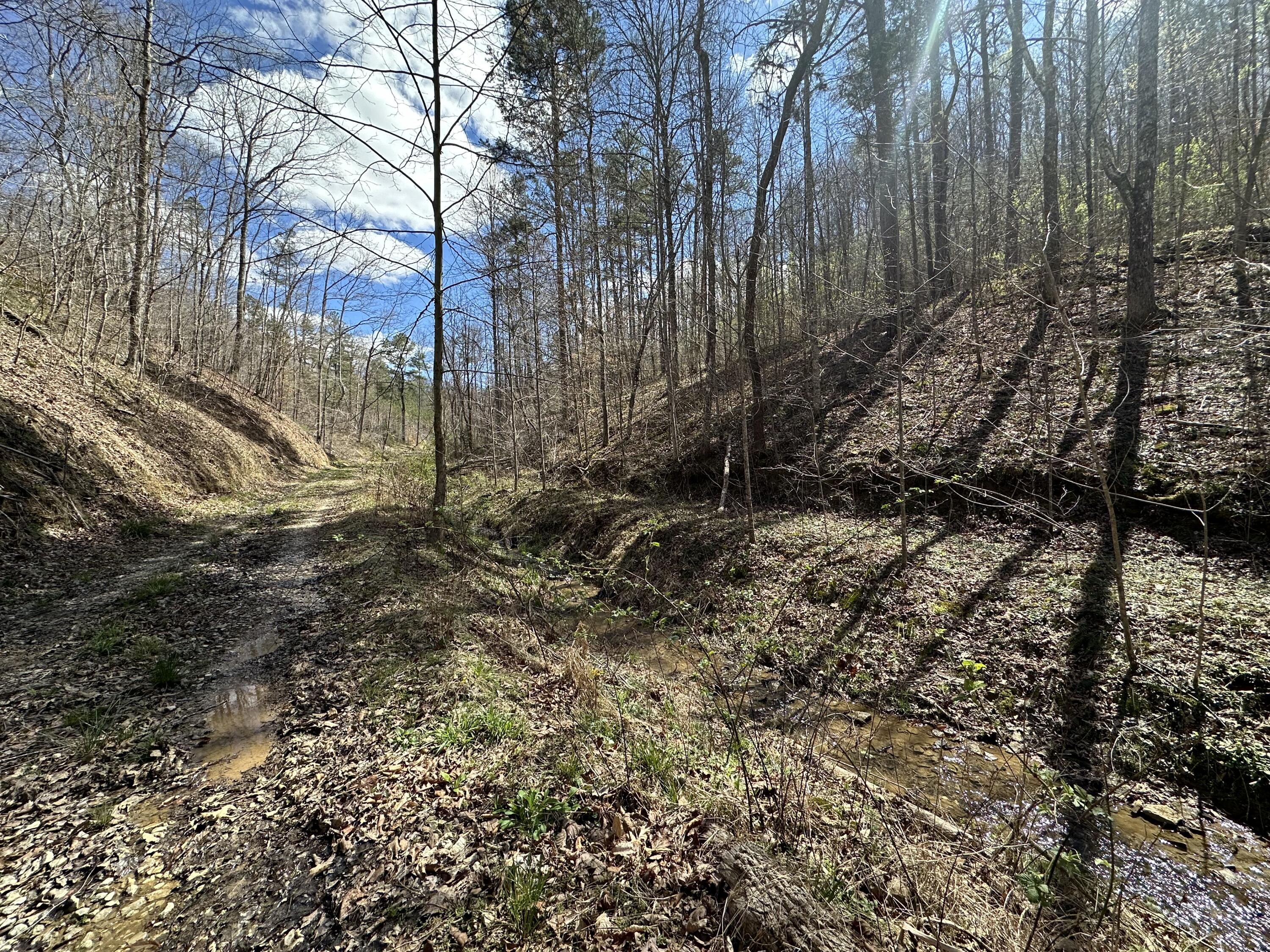 Tract #2 Tract Ridge Annville, KY 40402 - Photo 10 of 15 IMG_0933