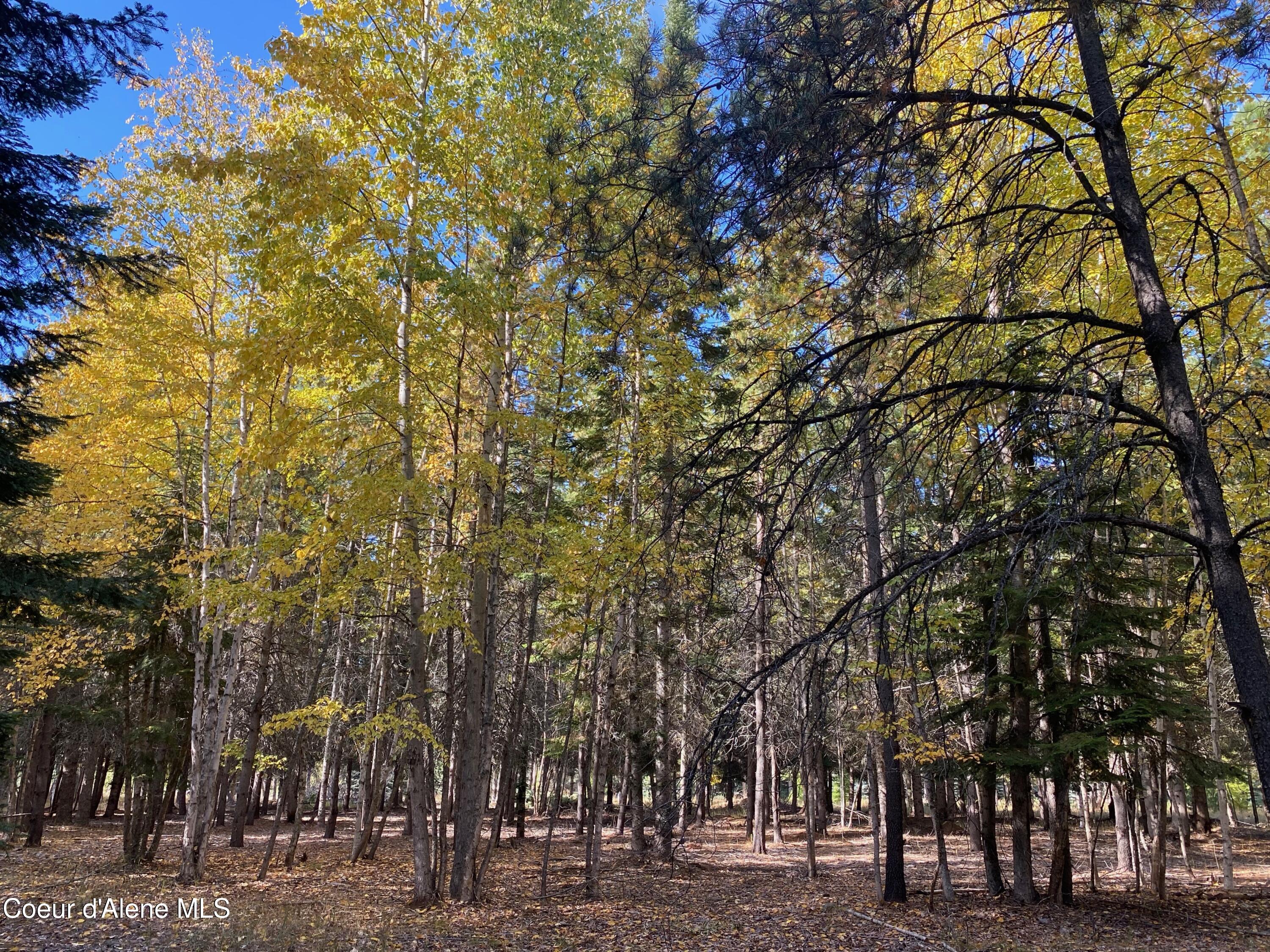 Nna Cougar Road Naples, ID 83847 - Photo 16 of 42 IMG_0144