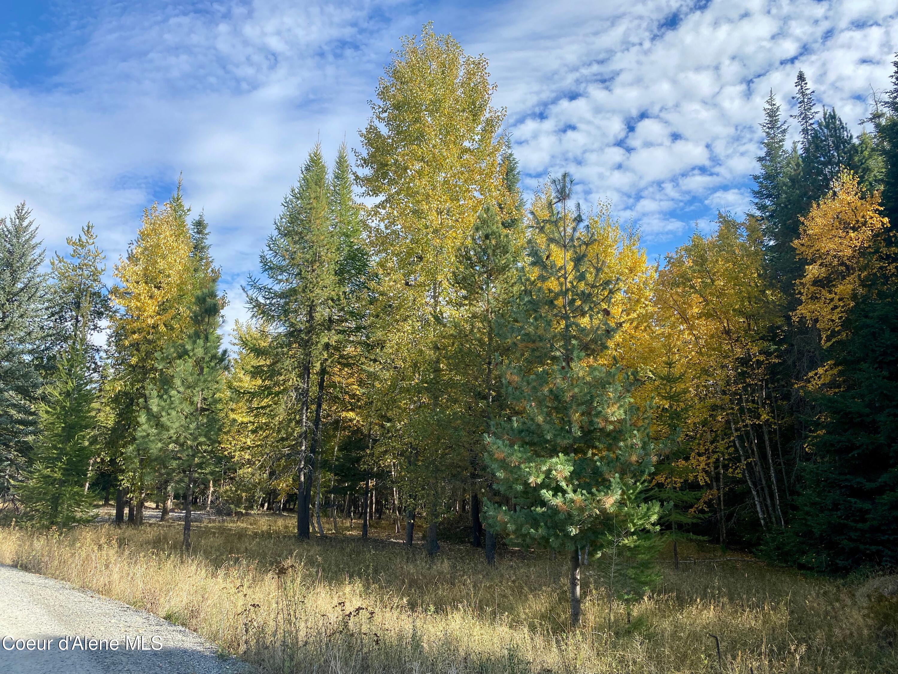 Nna Cougar Road Naples, ID 83847 - Photo 2 of 42 IMG_0124