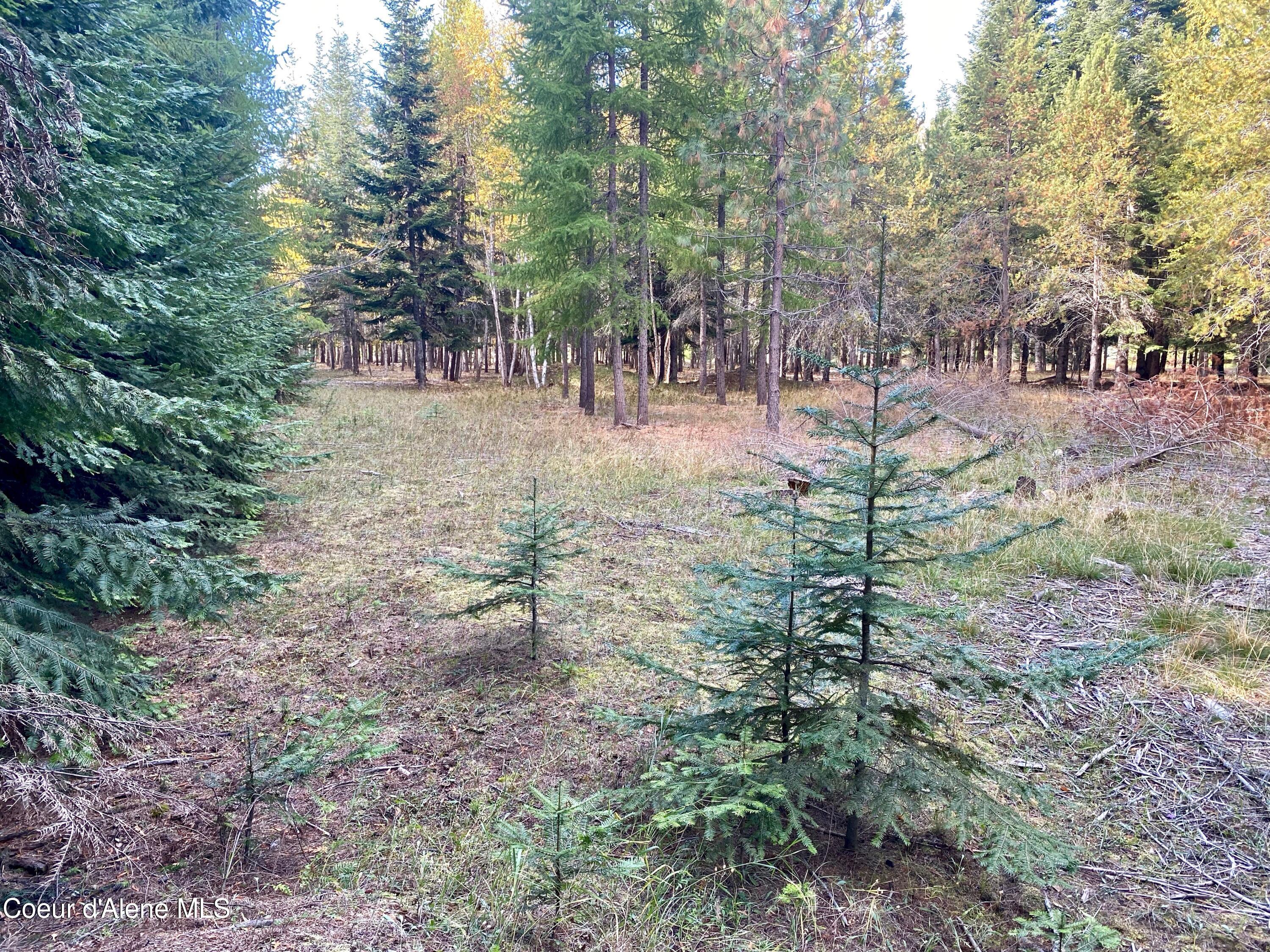 Nna Cougar Road Naples, ID 83847 - Photo 22 of 42 IMG_0152