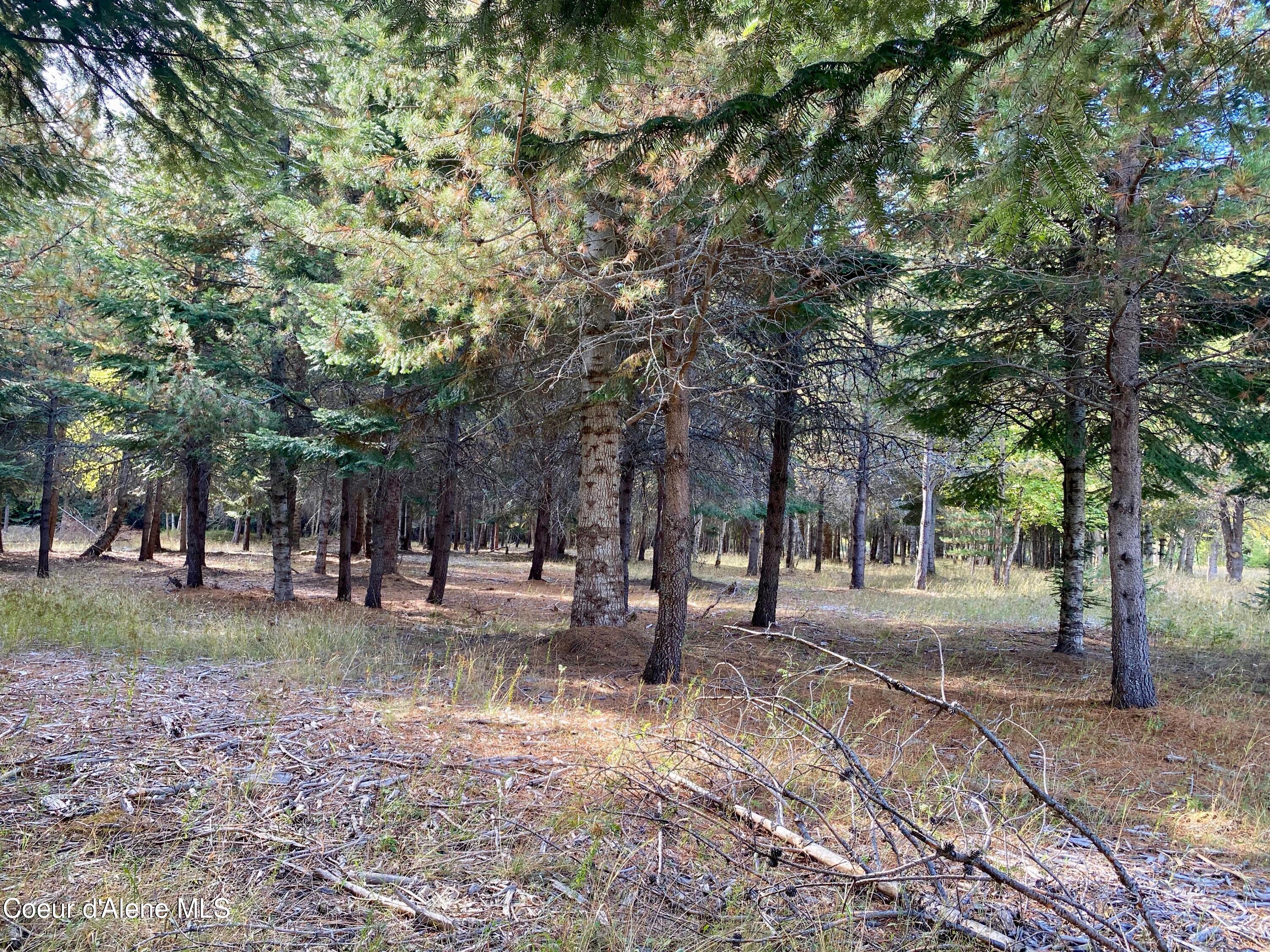 Nna Cougar Road Naples, ID 83847 - Photo 26 of 42 IMG_0156