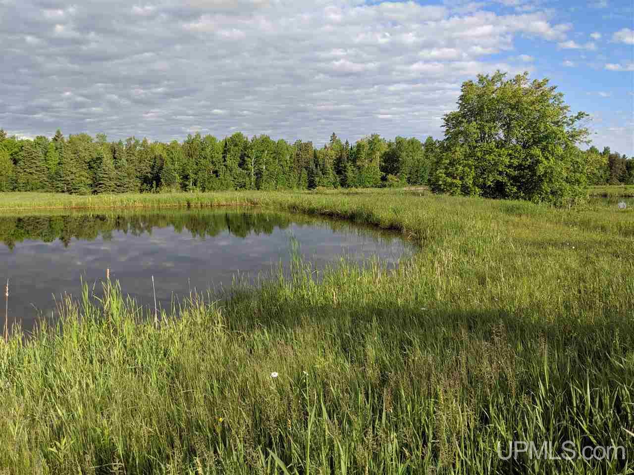 Tbd Town Line Road Skandia, MI 49885 - Photo 1 of 14