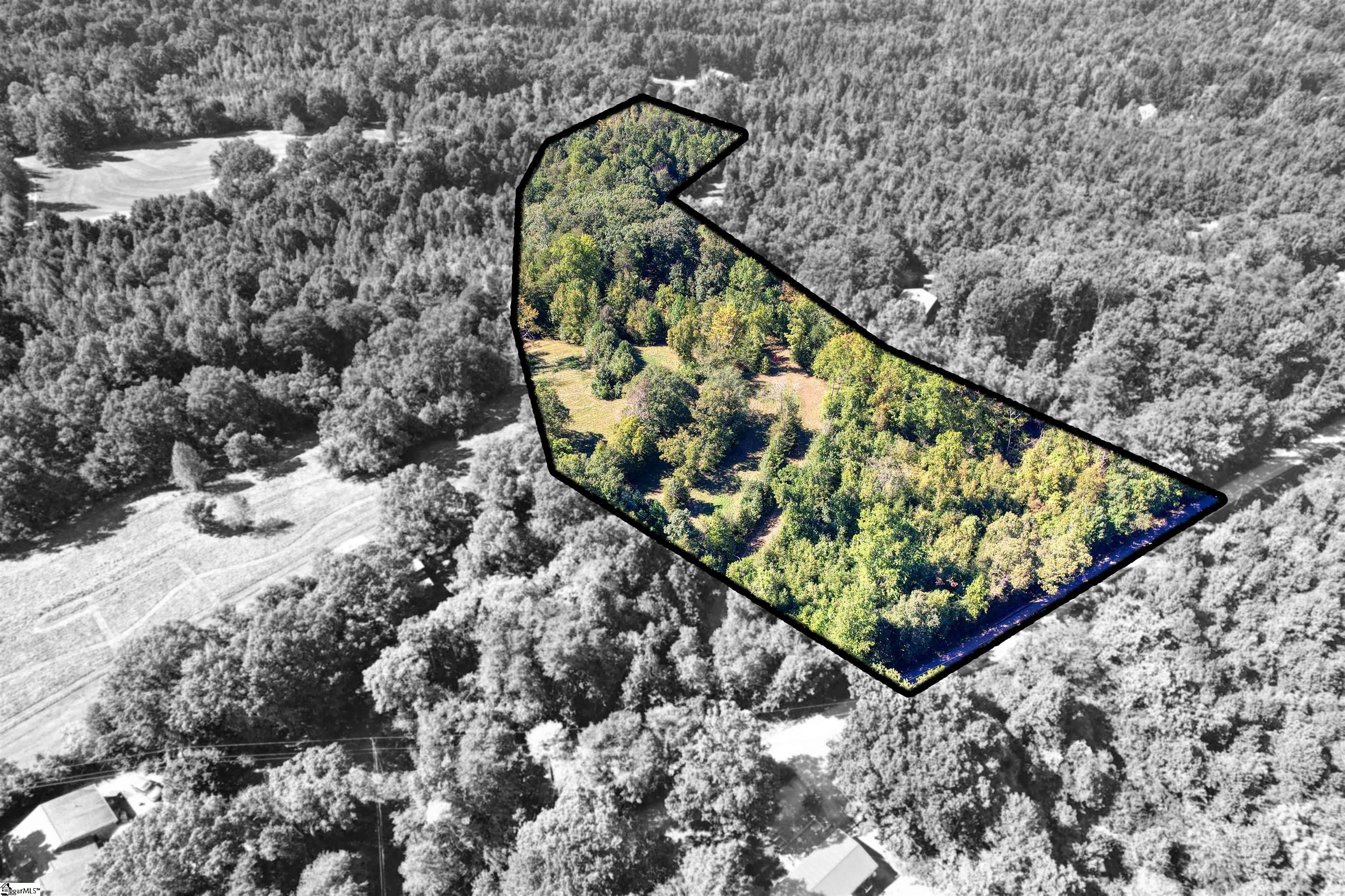 0 Dean Williams Road Travelers Rest, SC 29690 - Photo 2 of 11