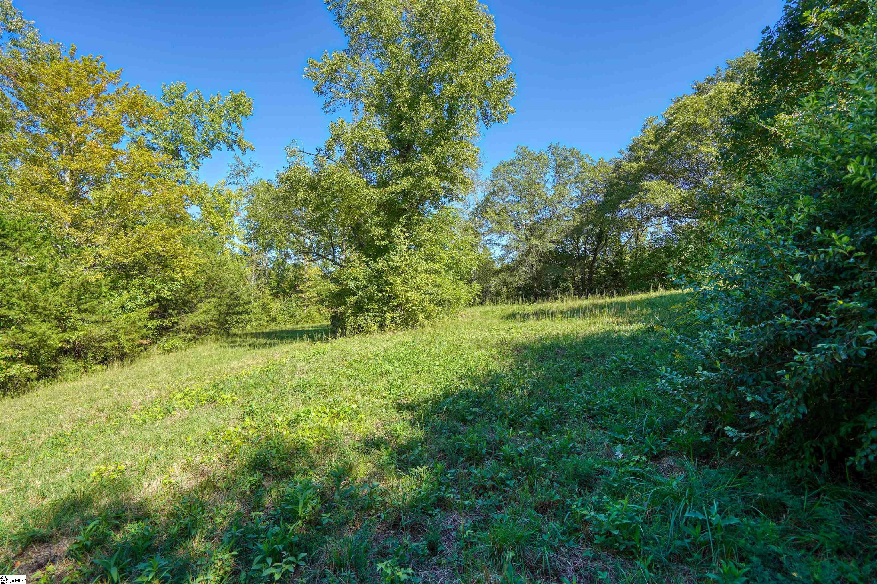 0 Dean Williams Road Travelers Rest, SC 29690 - Photo 11 of 11