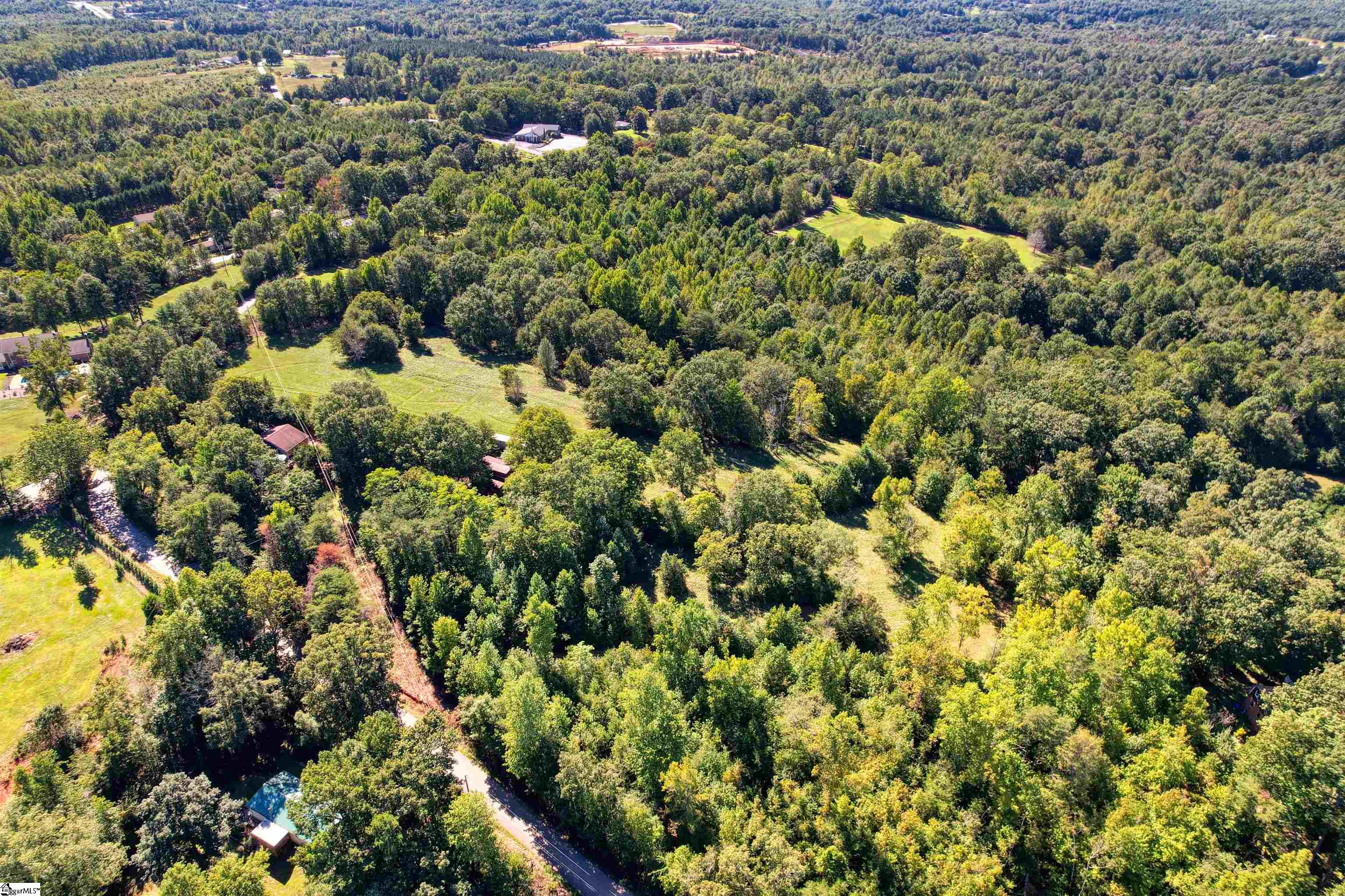 0 Dean Williams Road Travelers Rest, SC 29690 - Photo 3 of 11