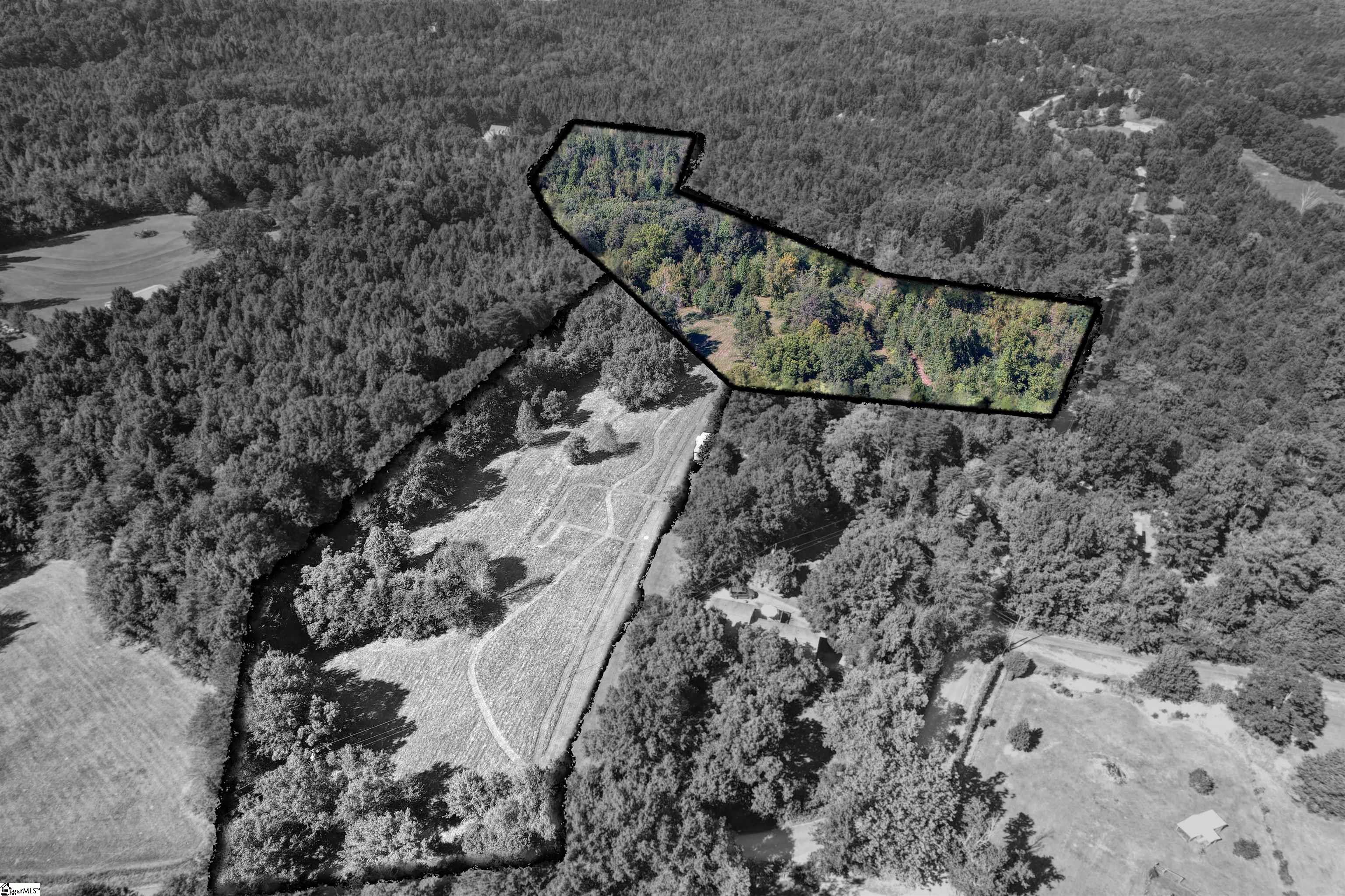 0 Dean Williams Road Travelers Rest, SC 29690 - Photo 4 of 11