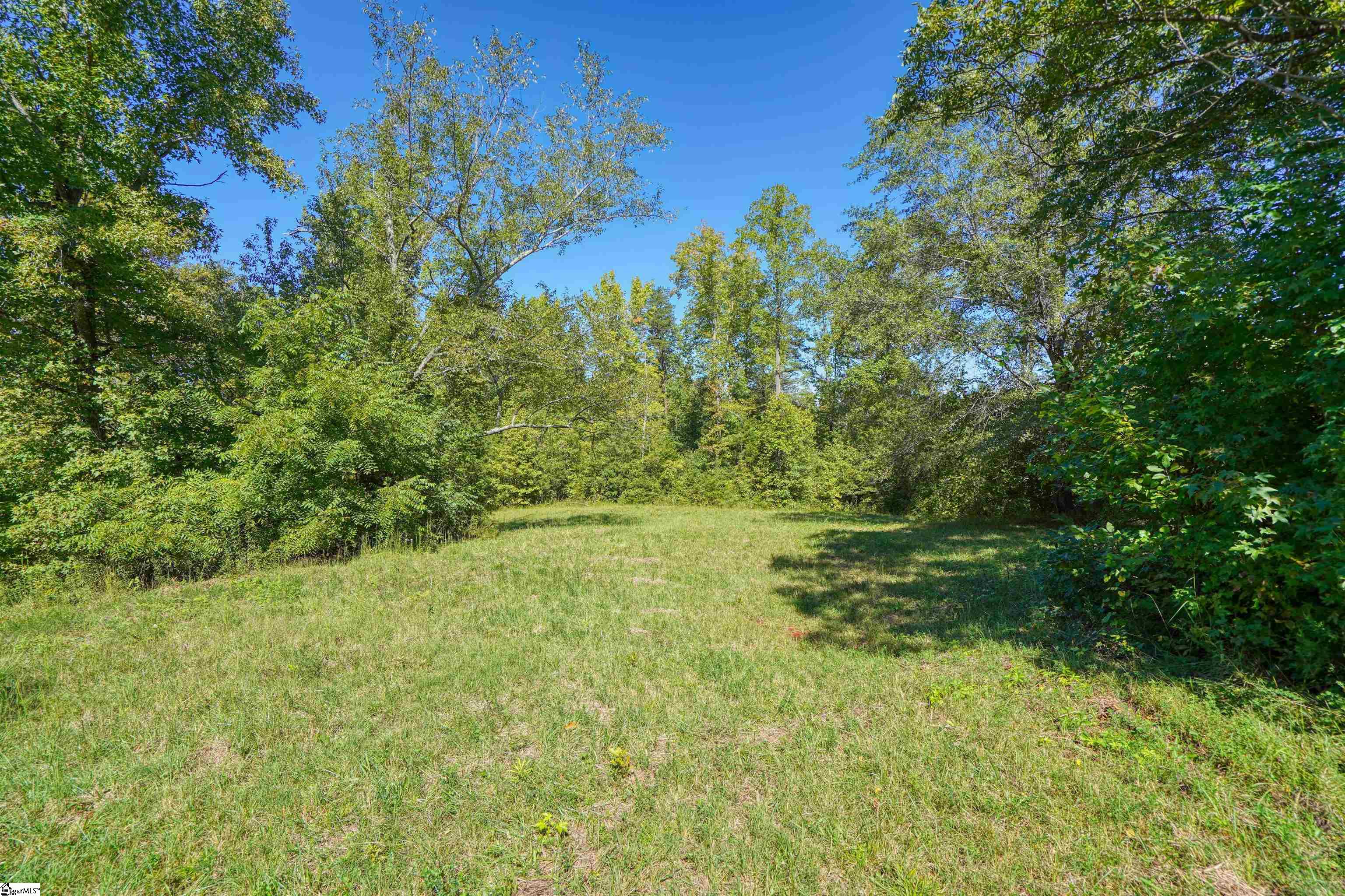 0 Dean Williams Road Travelers Rest, SC 29690 - Photo 7 of 11