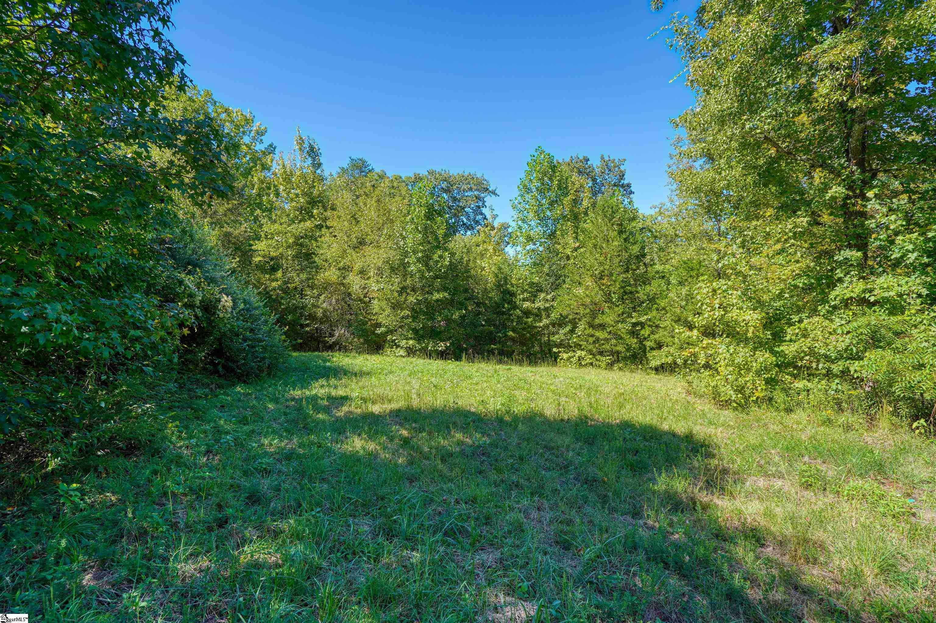 0 Dean Williams Road Travelers Rest, SC 29690 - Photo 8 of 11