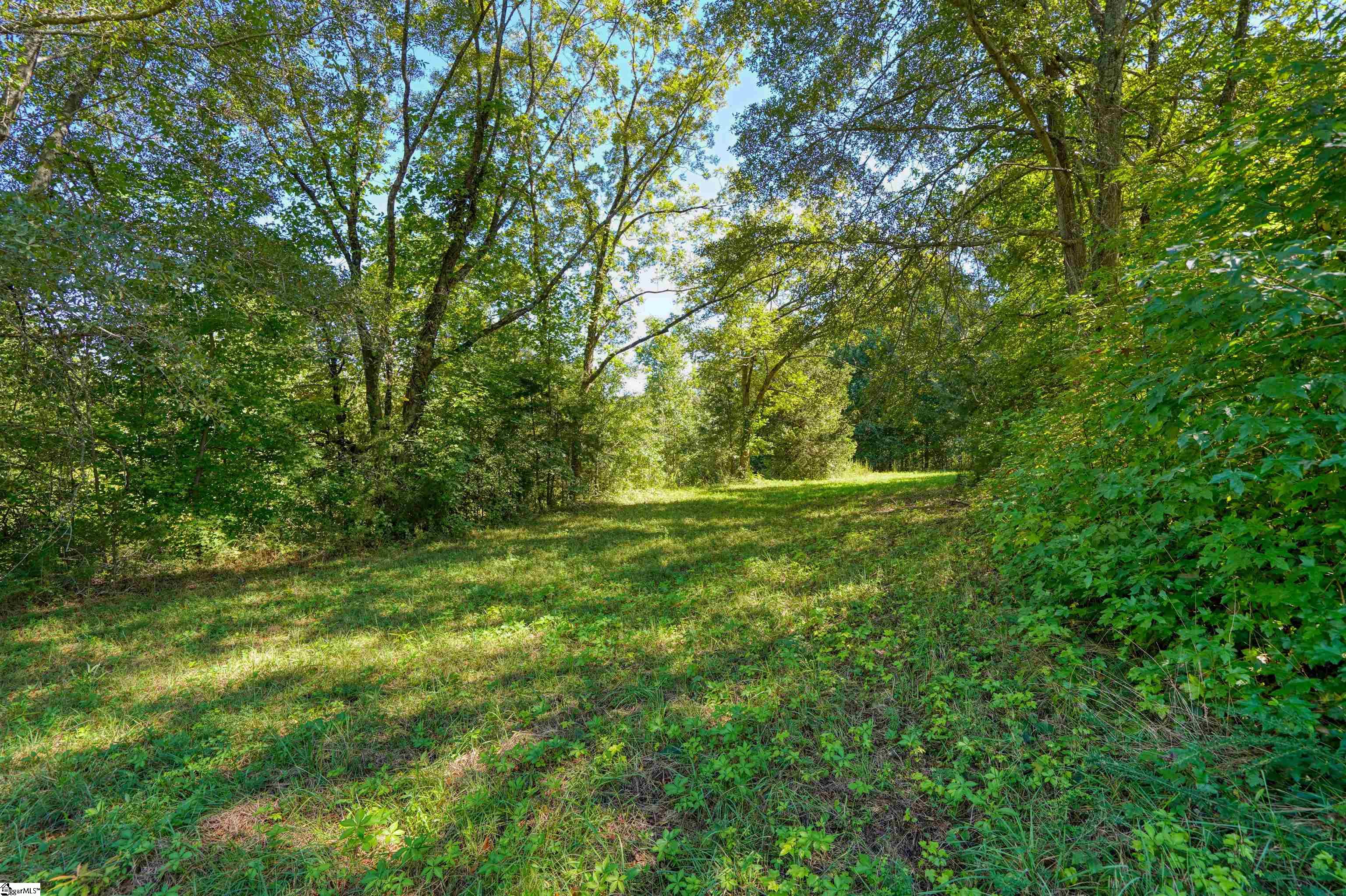 0 Dean Williams Road Travelers Rest, SC 29690 - Photo 9 of 11