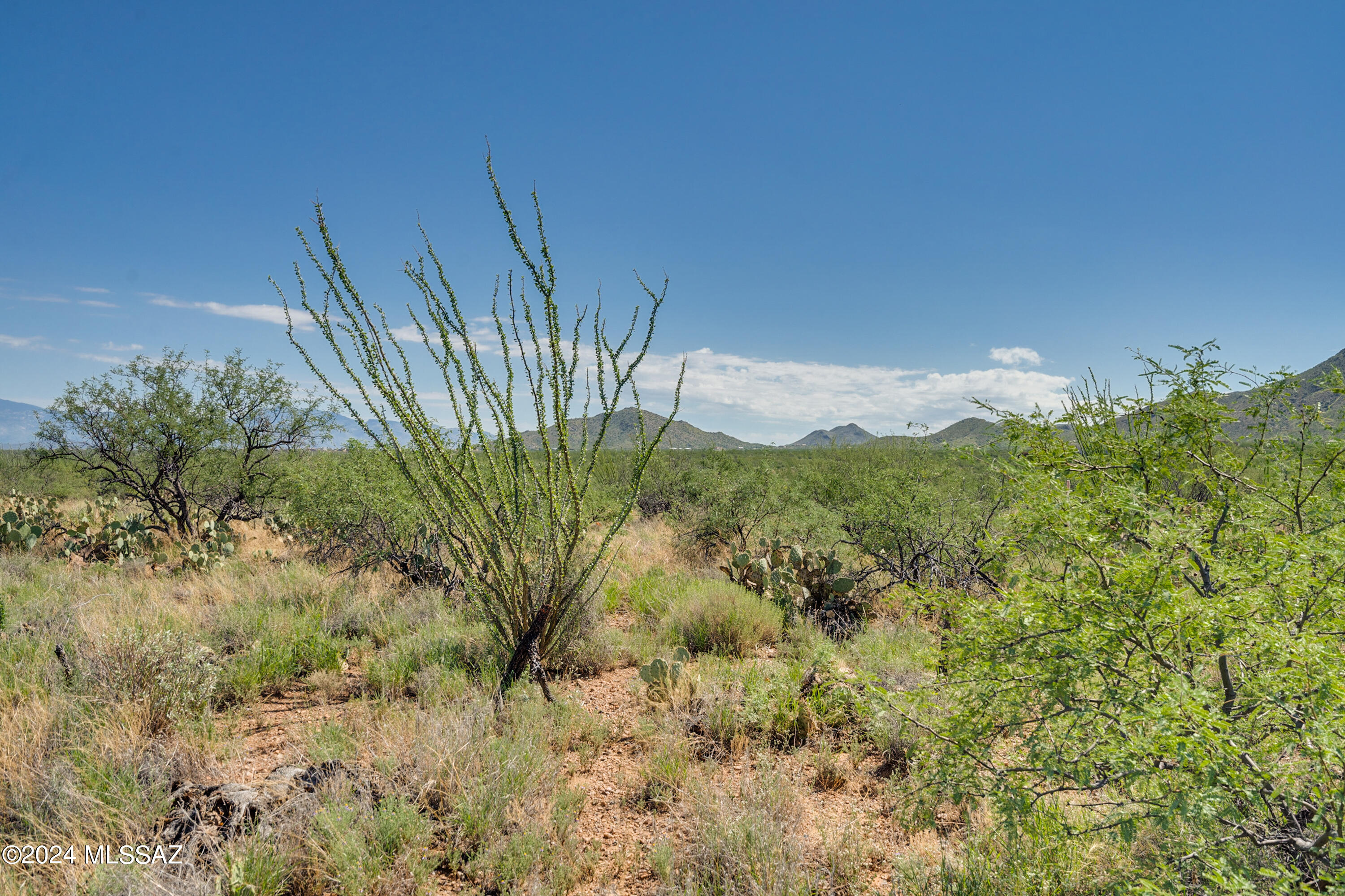 9795 East Ocotillo Rim Trail Vail, AZ 85641 - Photo 30 of 30 Gallery Image 30