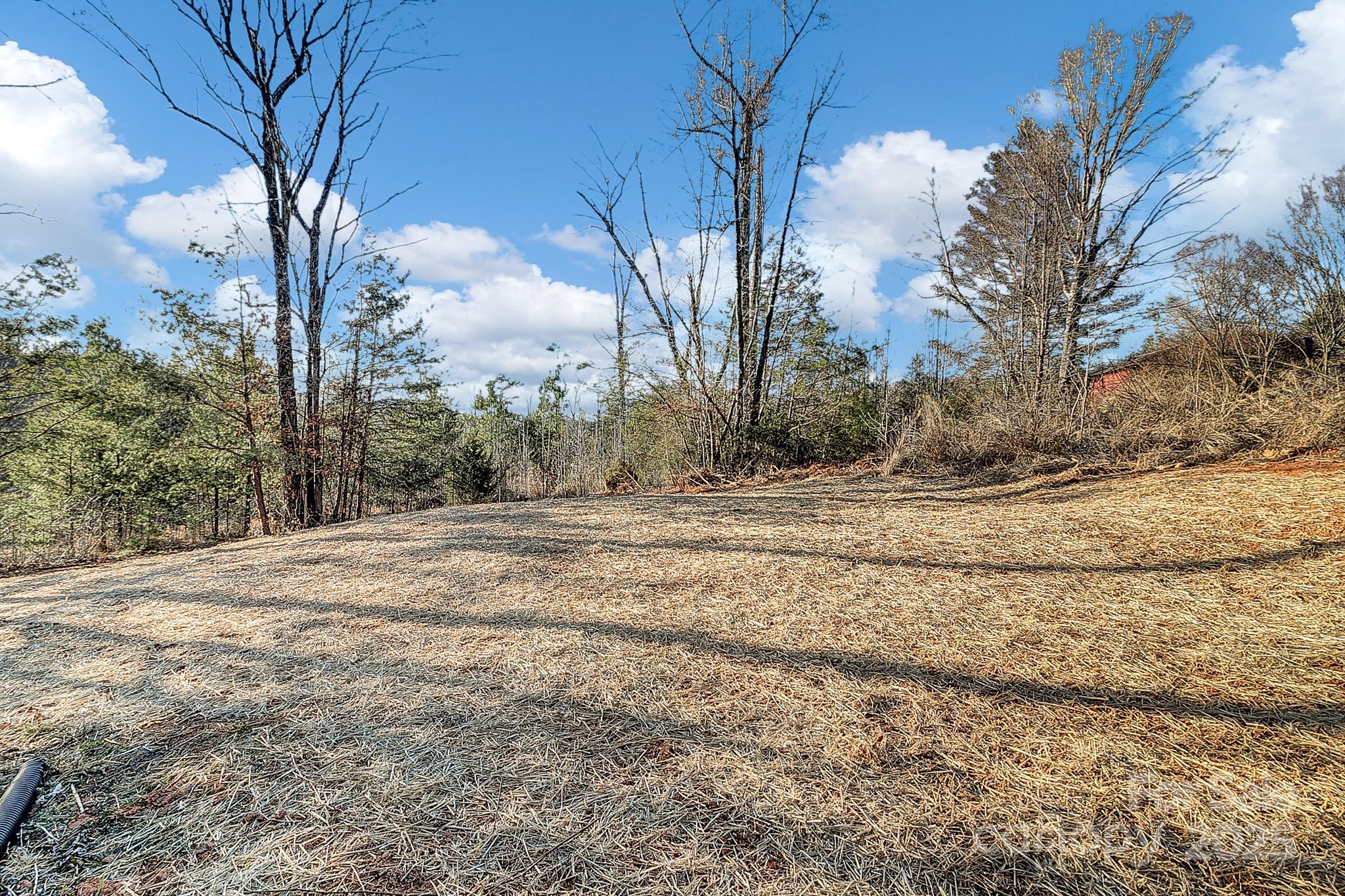 24 Buck Ridge Drive Marion, NC 28752 - Photo 8 of 29 Gallery Image 8