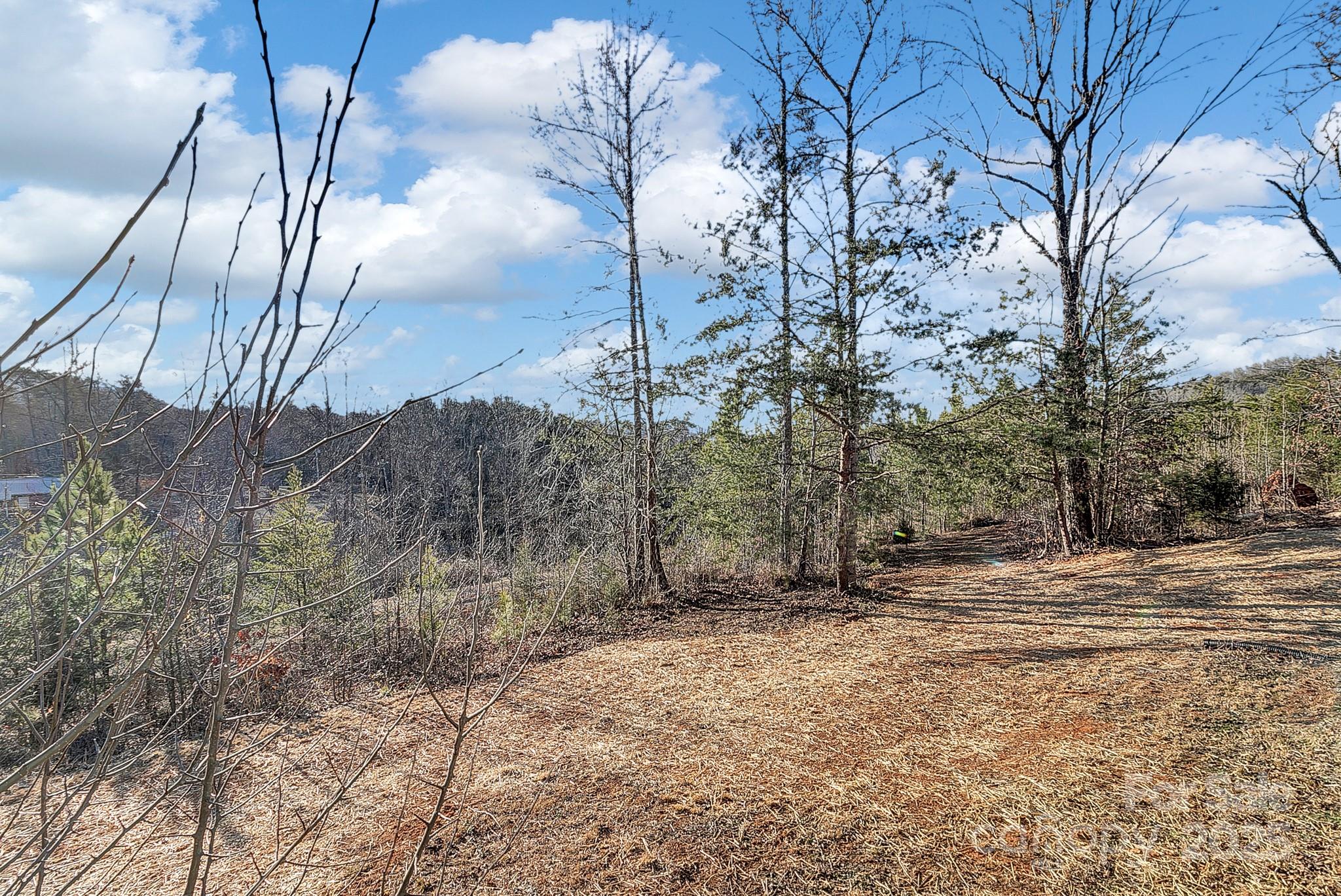 24 Buck Ridge Drive Marion, NC 28752 - Photo 9 of 29 Gallery Image 9