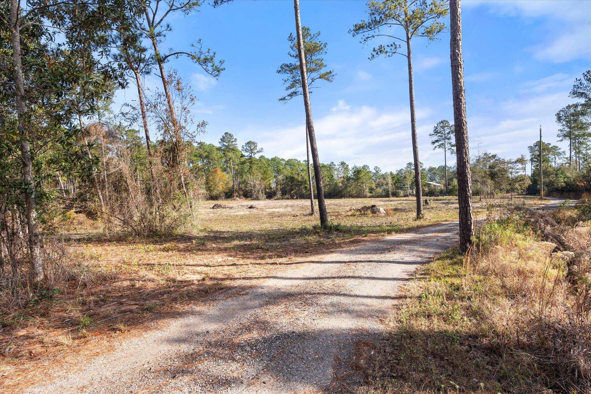 29883 Kingdom Lane Elberta, AL 36530 - Photo 3 of 17 Community