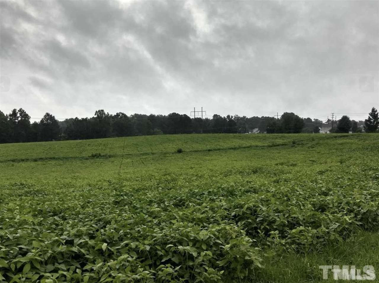4009 Benson Road Garner, NC 27529 - Photo 5 of 5 a view of a field of grass and trees