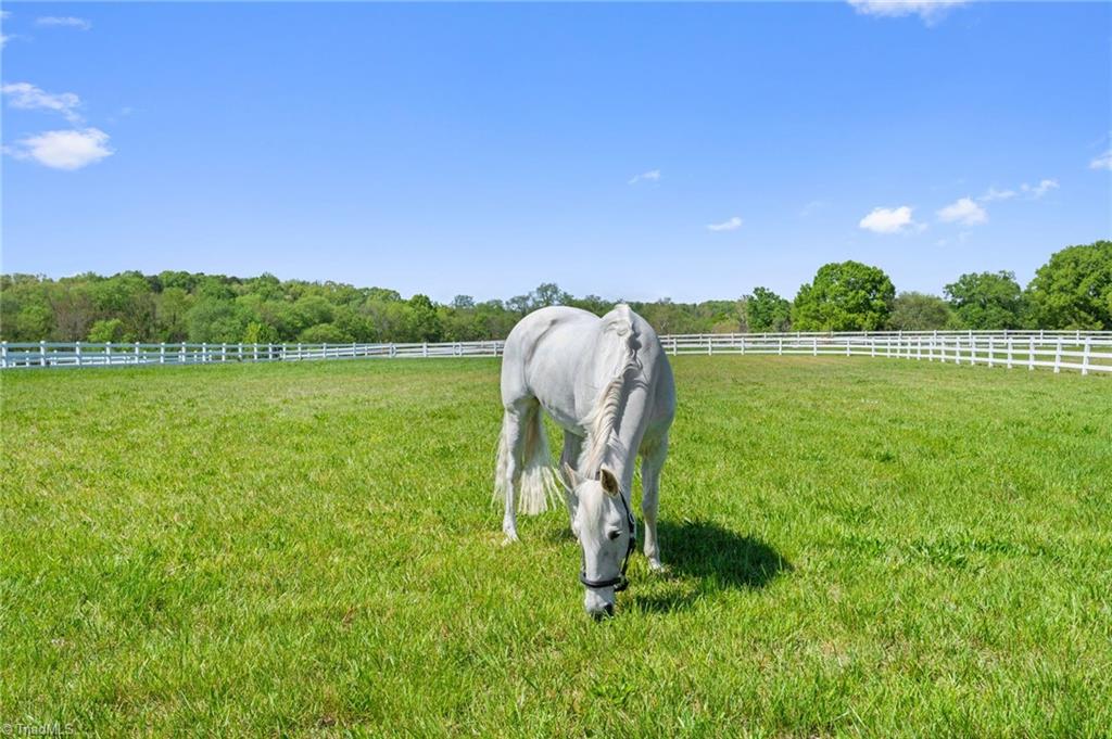 15670 Bethel Ave Extension Midland, NC 28107 - Photo 37 of 40