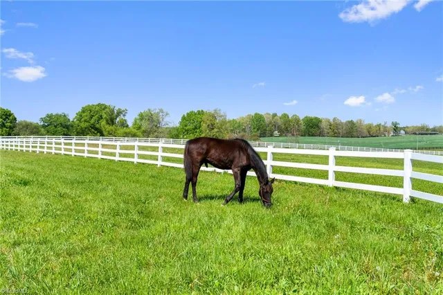 $2,500,000 | 15670 Bethel Ave Extension, Midland, NC 28107