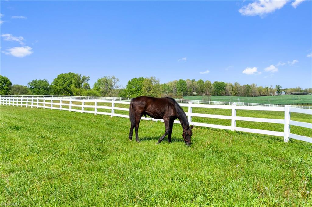 15670 Bethel Ave Extension Midland, NC 28107 - Photo 38 of 40