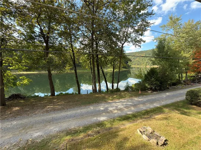a view of a yard with potted plants and large trees