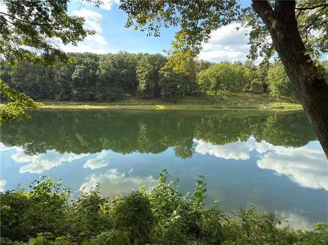 a view of a lake with a yard