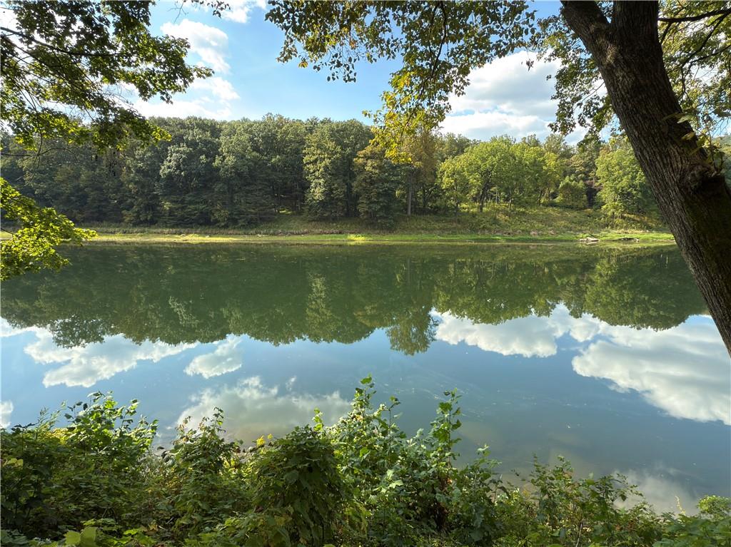 876 North Tunnel Road Kennerdell, PA 16374 - Photo 5 of 42 a view of a lake with a yard