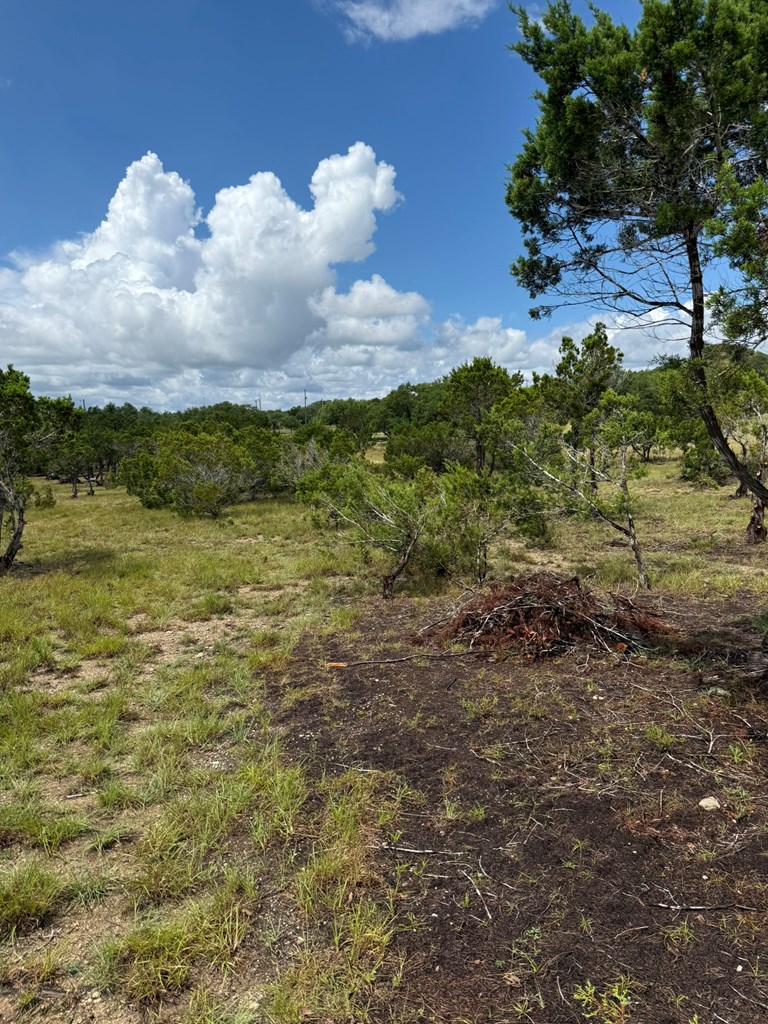 589 Rolling Hills Road, Unit 4B Blanco, TX 78606 - Photo 15 of 16