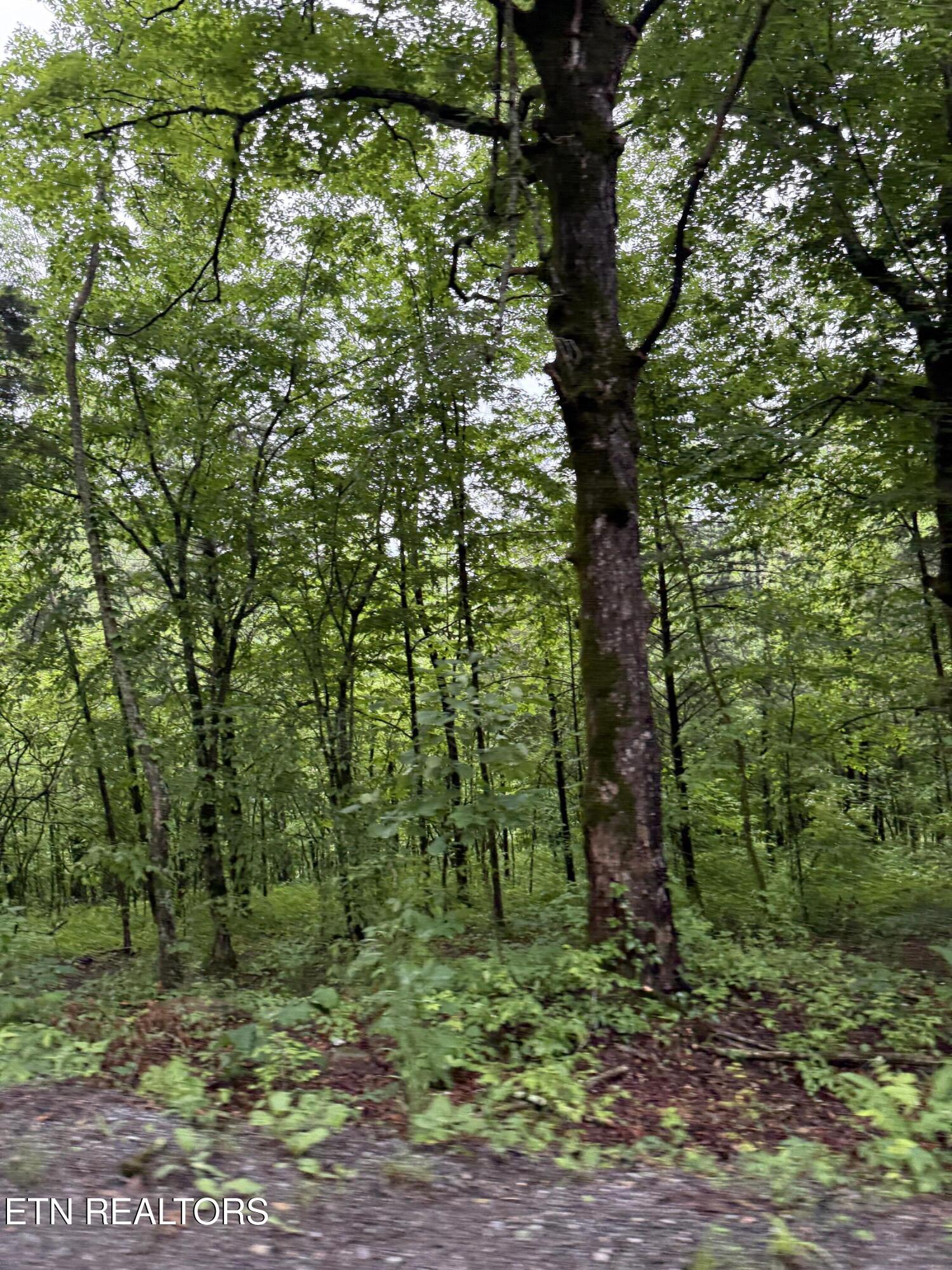 940 Riley Creek Road Whitleyville, TN 38588 - Photo 25 of 30 IMG_6454