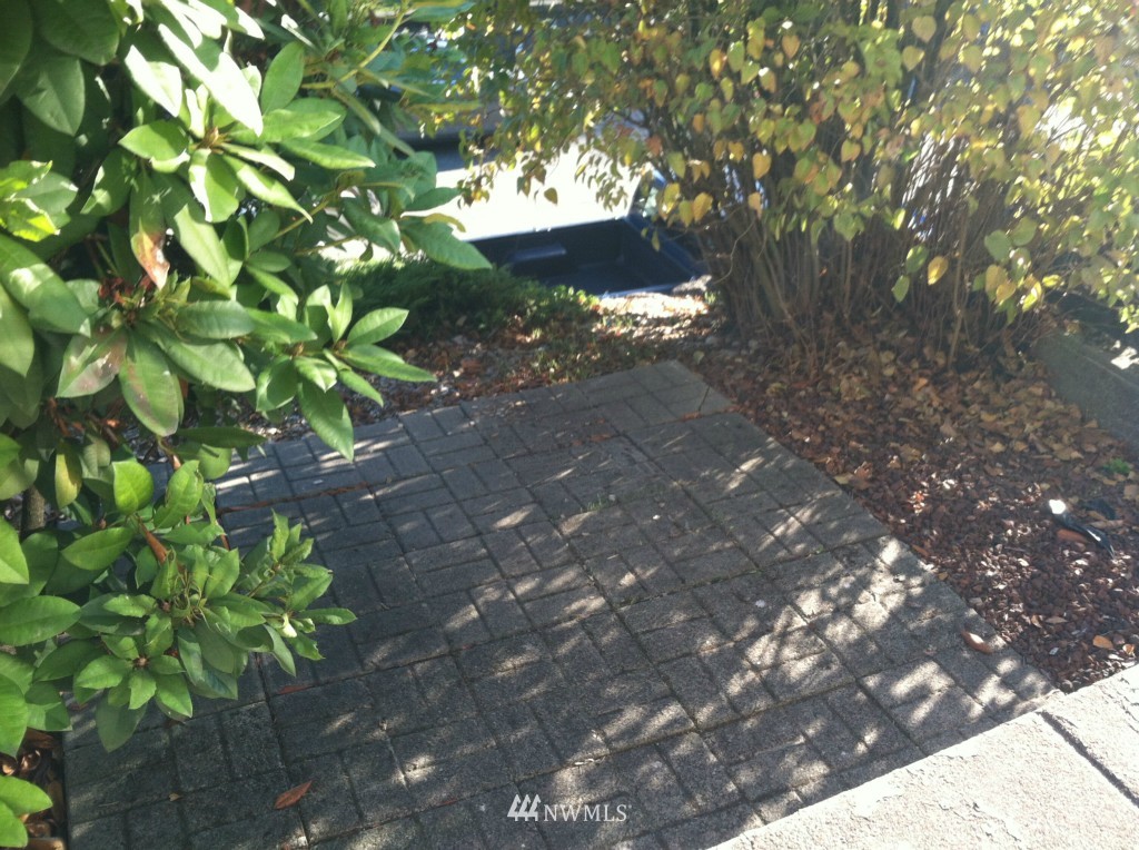 816 North 46th Street Seattle, WA 98103 - Photo 14 of 21 a picture of tree