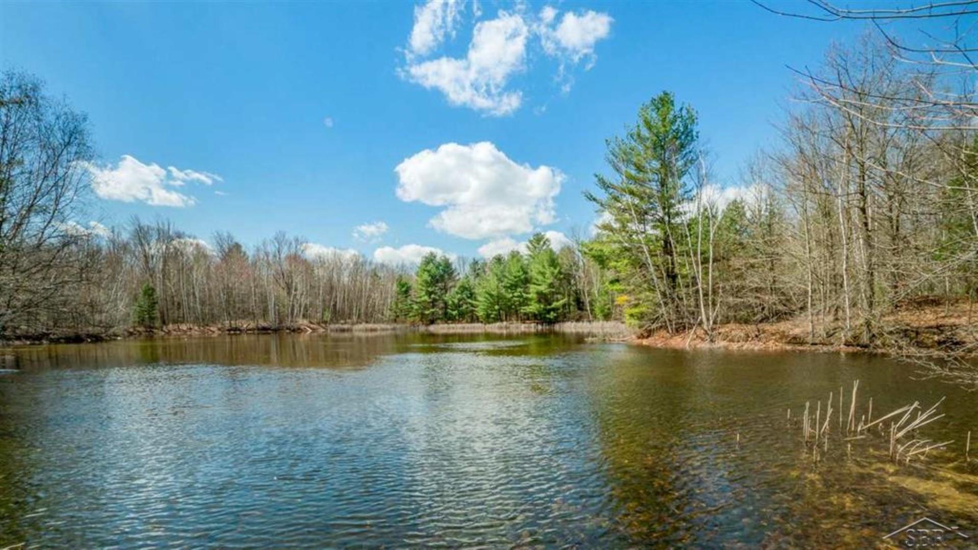 3901 West Shaffer Road Coleman, MI 48618 - Photo 24 of 25