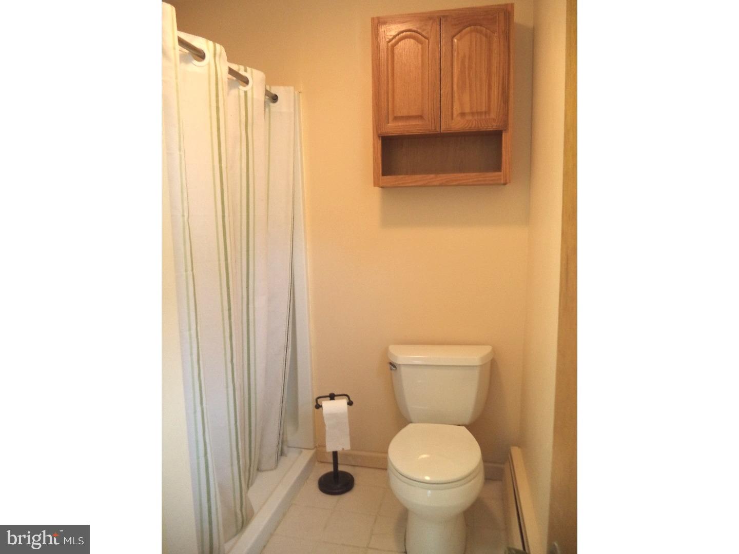 217 Fairway Road Ambler, PA 19002 - Photo 19 of 24 Master Bathroom