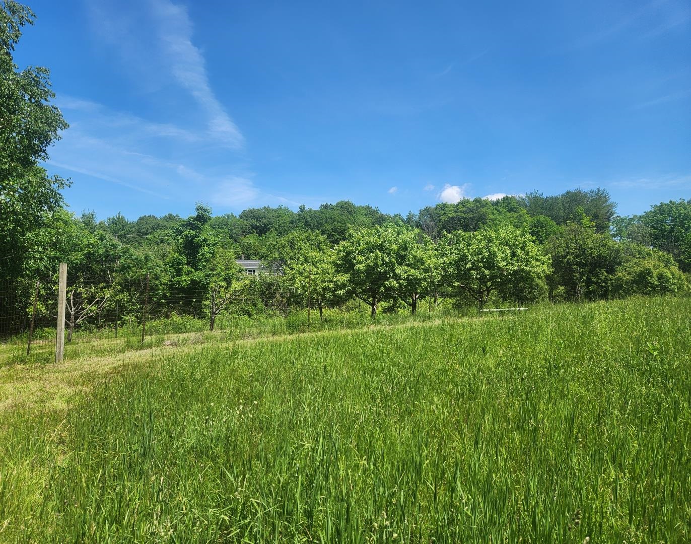 1198 Georgia Mountain Road Georgia, VT 05454 - Photo 23 of 26