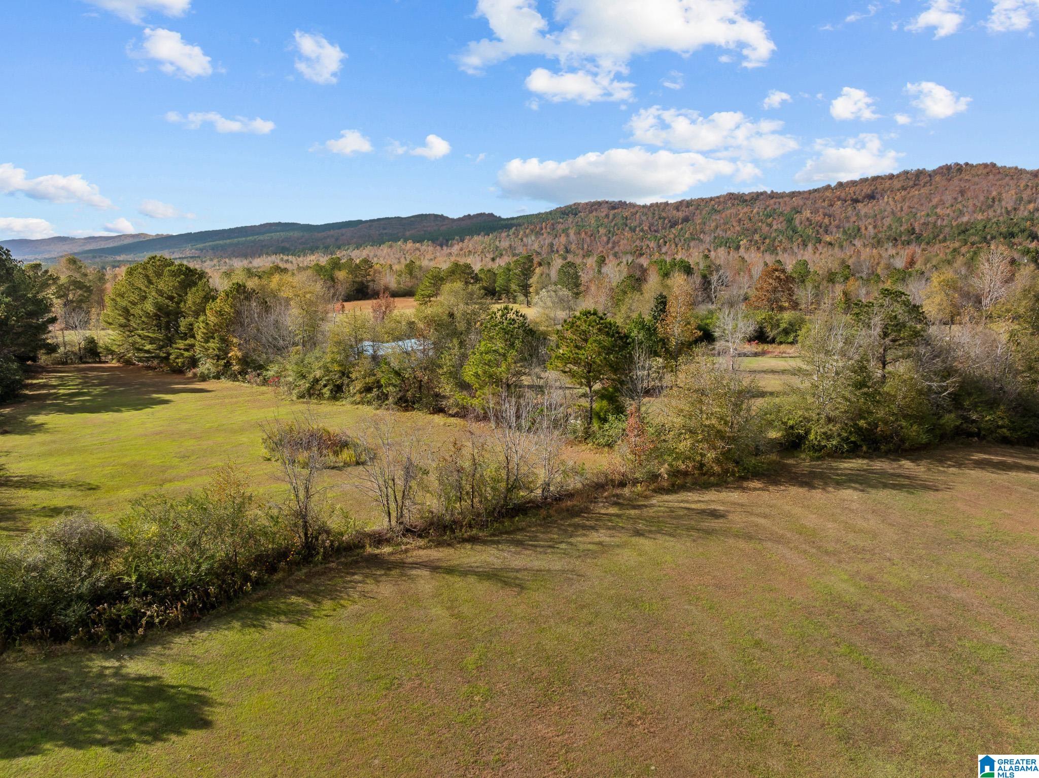 0 Armstrong Road, Unit 1 Ashville, AL 35953 - Photo 8 of 12